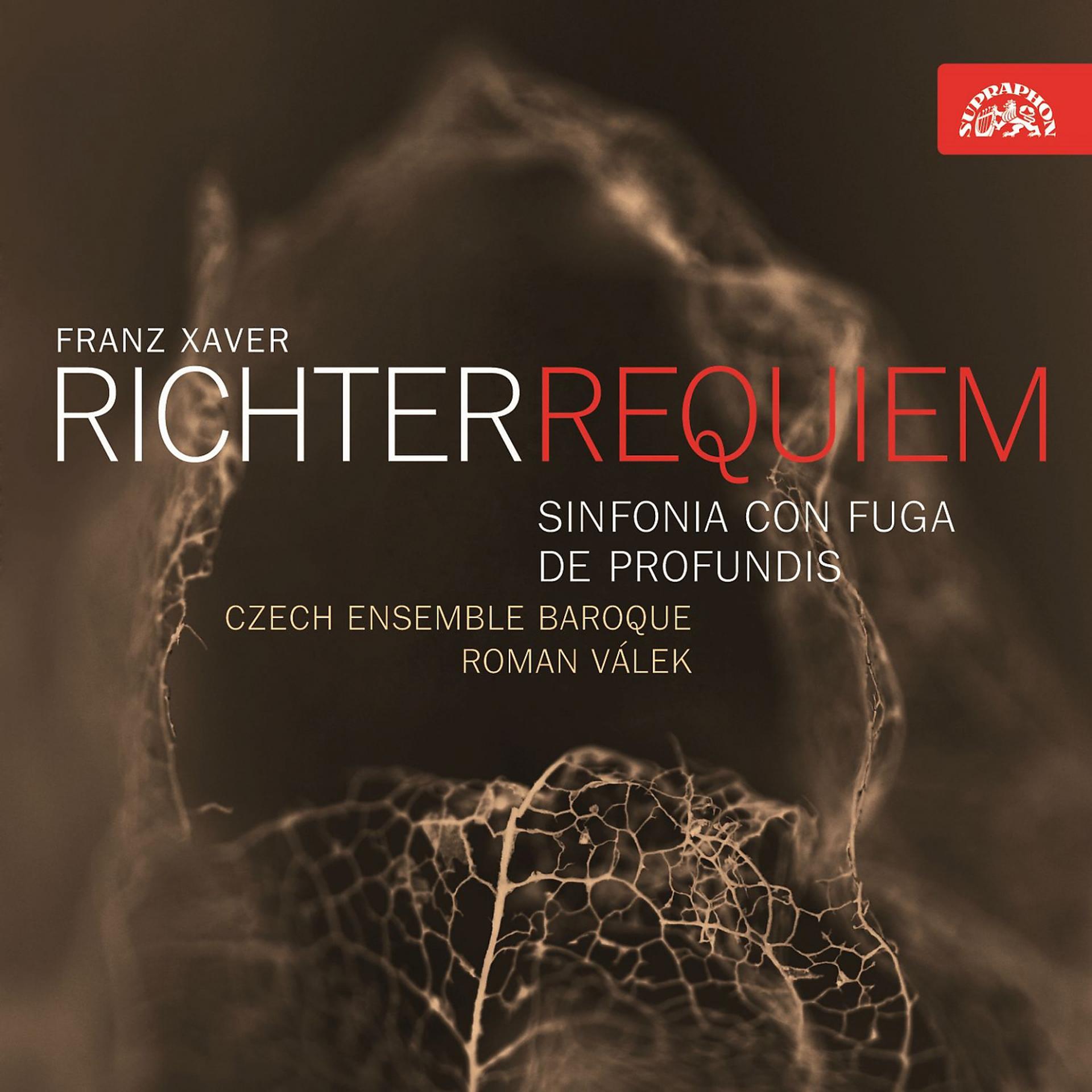 Постер альбома Richter: Requiem