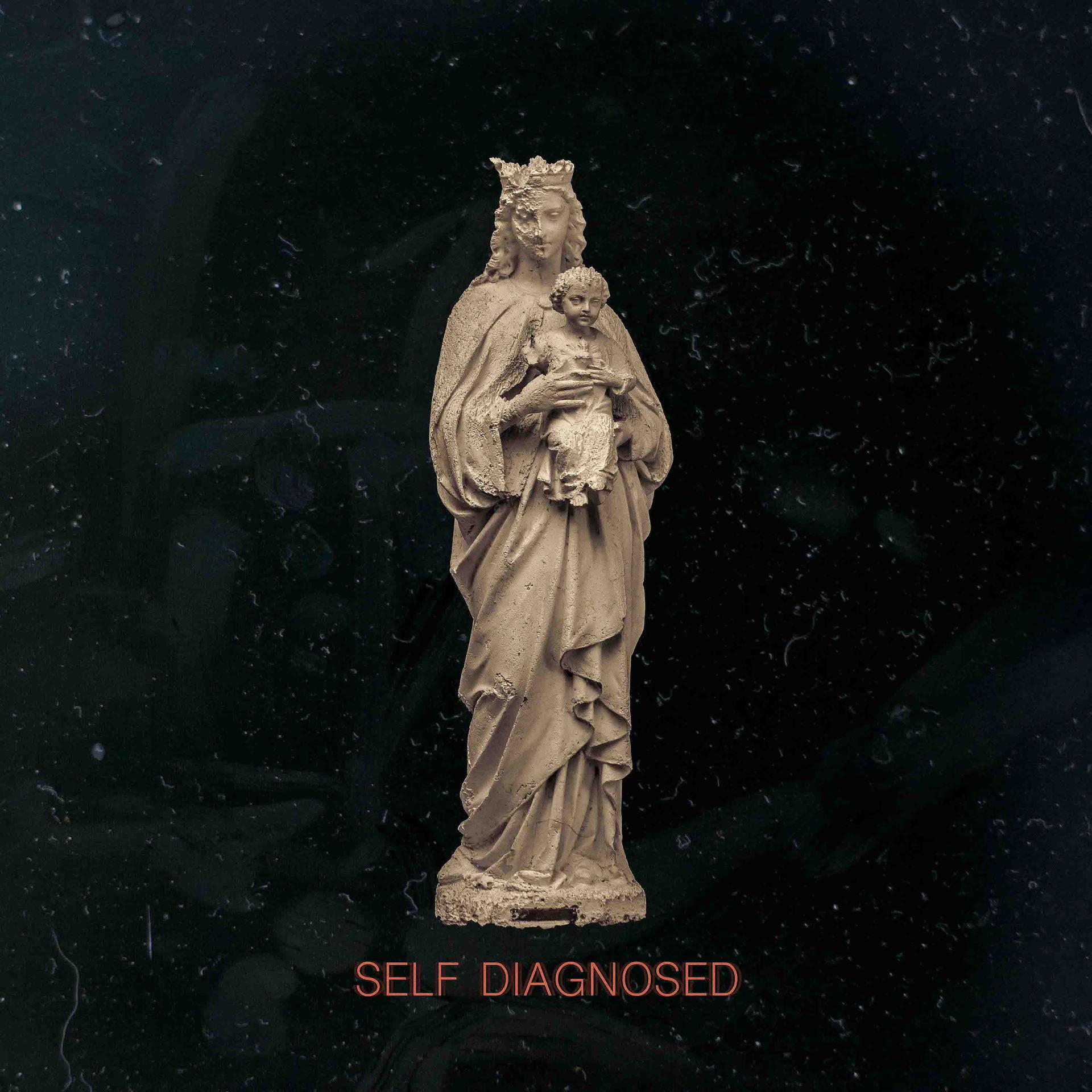 Постер альбома Self Diagnosed