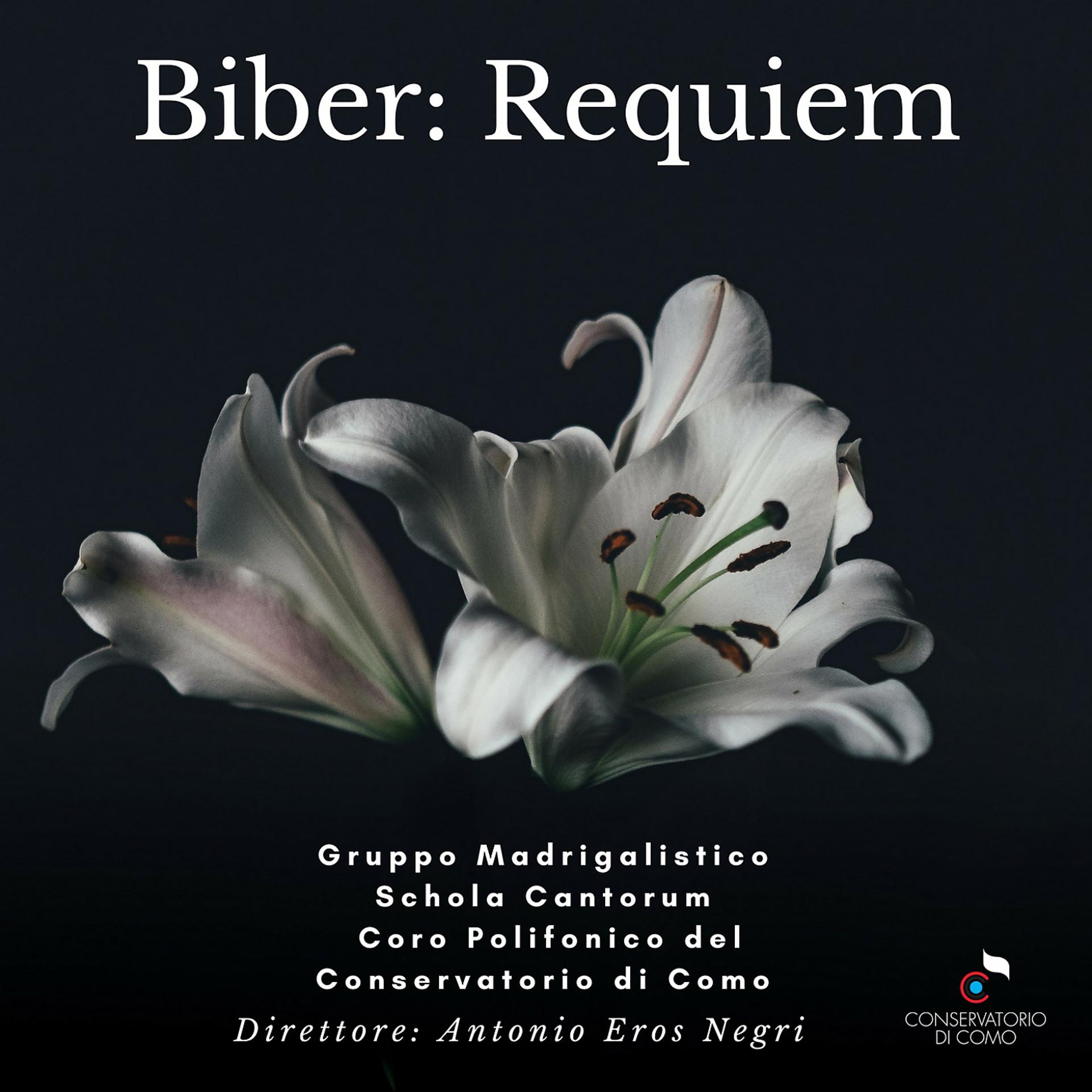 Постер альбома Biber: Requiem in F minor