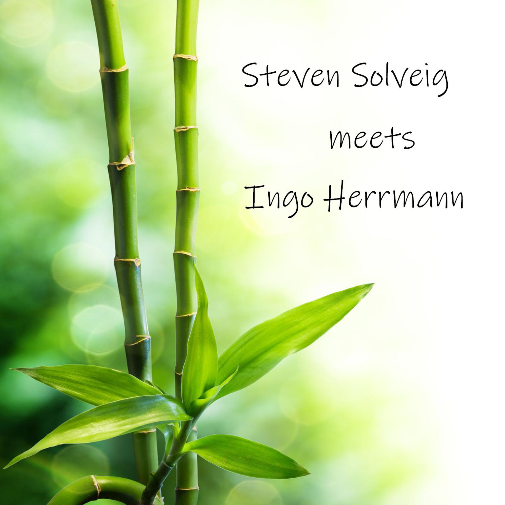 Постер альбома Steven Solveig Meets Ingo Herrmann