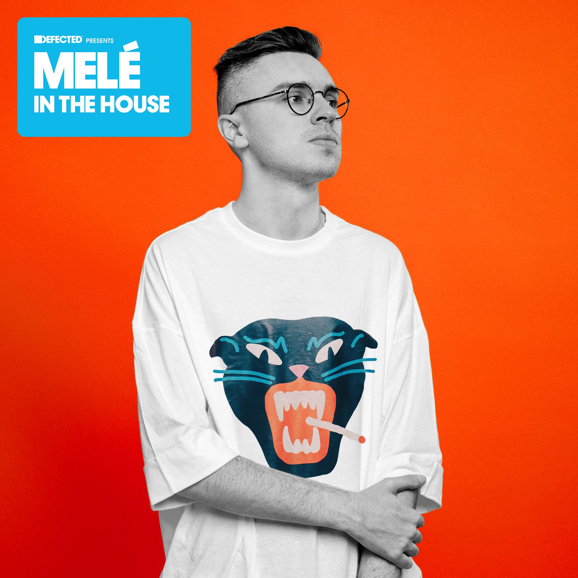 Постер альбома Defected Presents Melé In The House
