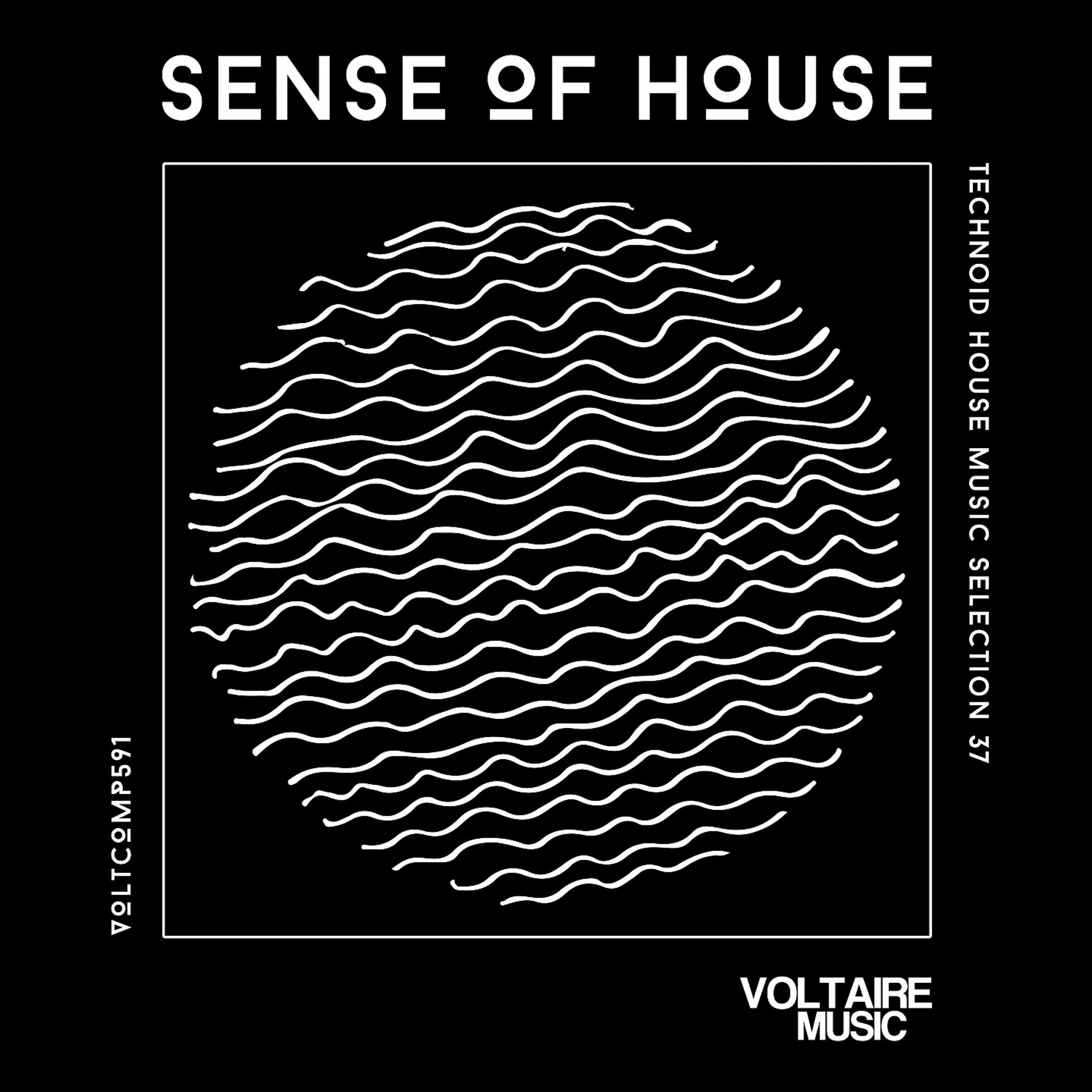Постер альбома Sense Of House, Vol. 37