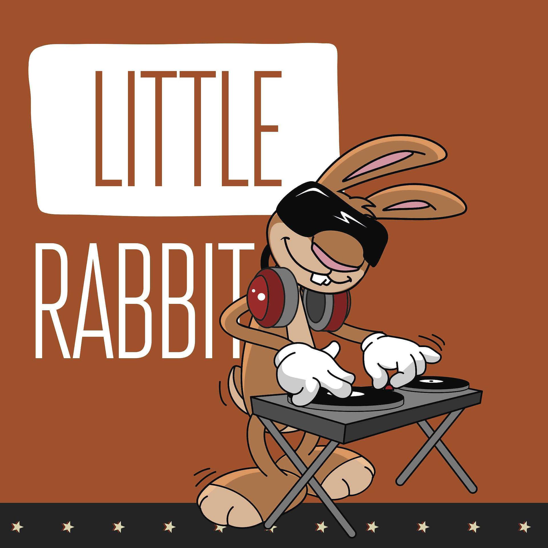 Постер альбома Little Rabbit