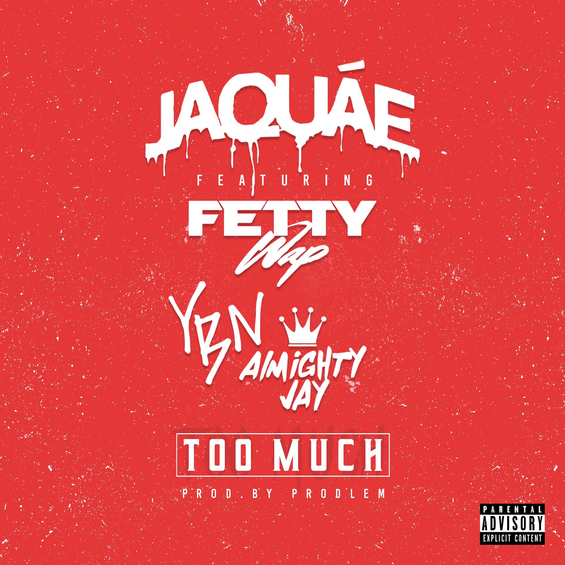 Постер альбома Too Much (feat. Fetty Wap & YBN Almighty Jay)