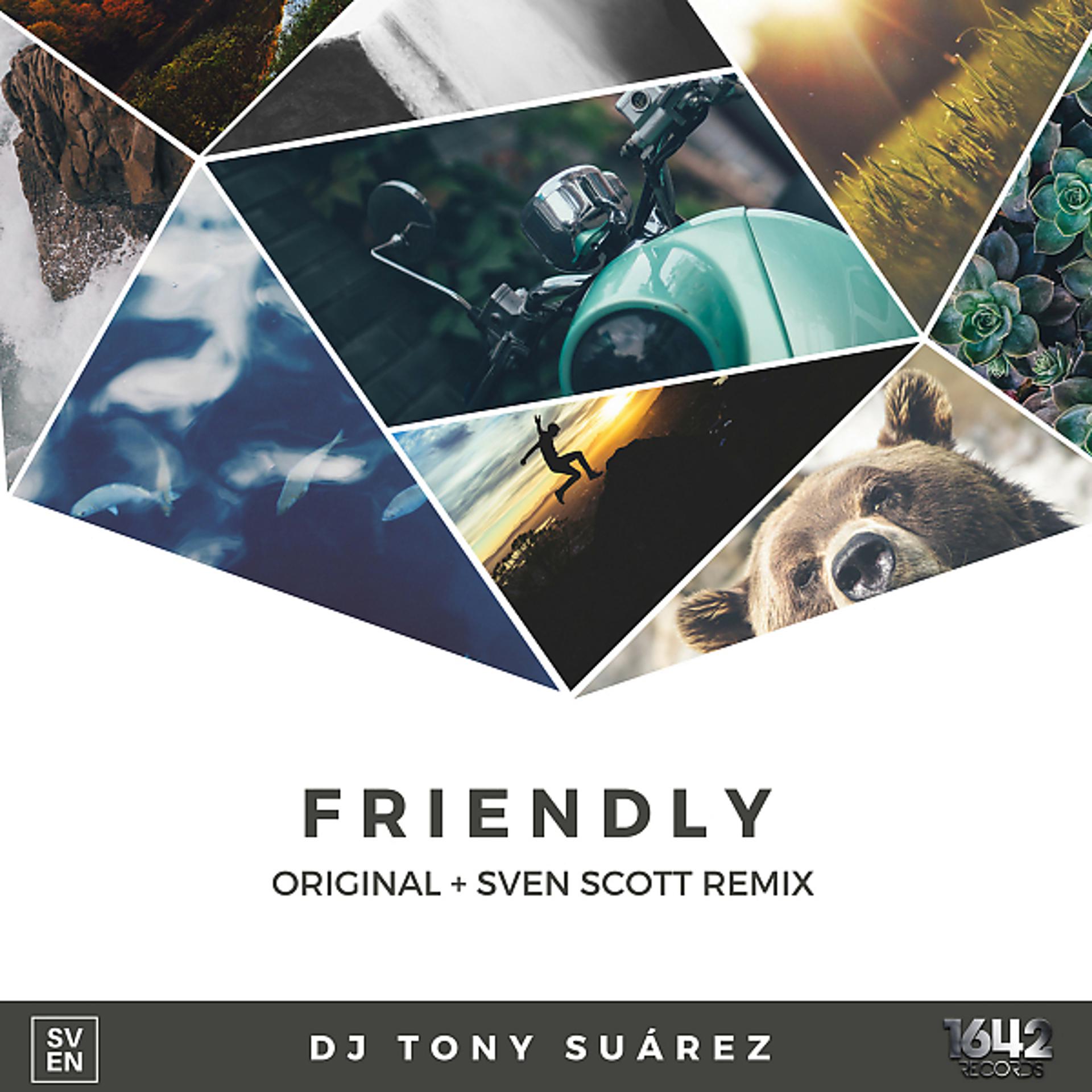 Постер альбома Friendly (Sven Scott Remix)