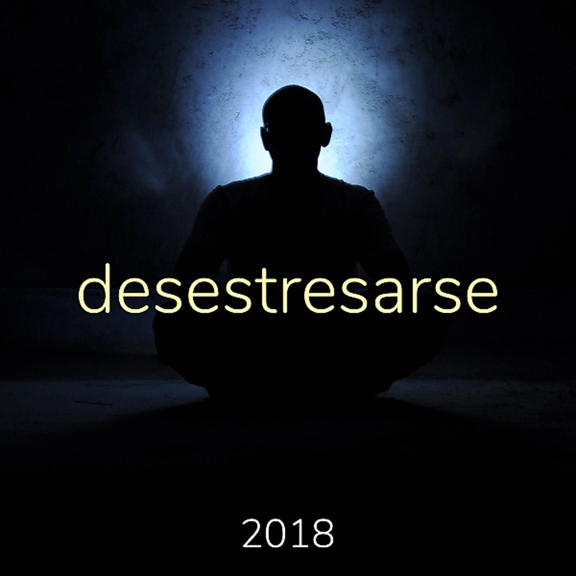 Постер альбома Desestresarse 2018 - Música Relajante para Relajarse y Dormir Bien