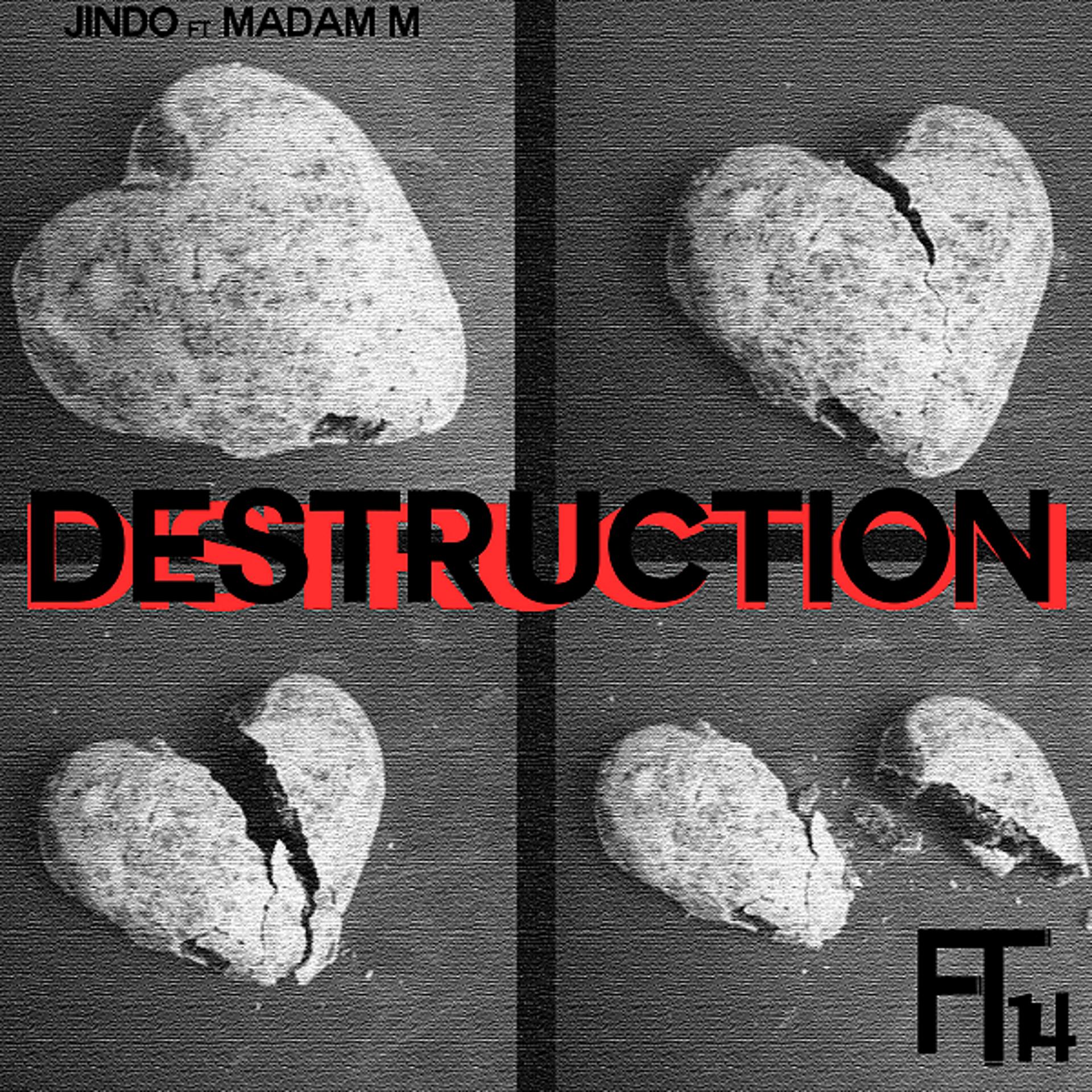 Постер альбома Destruction (feat. Madam Marvelous)