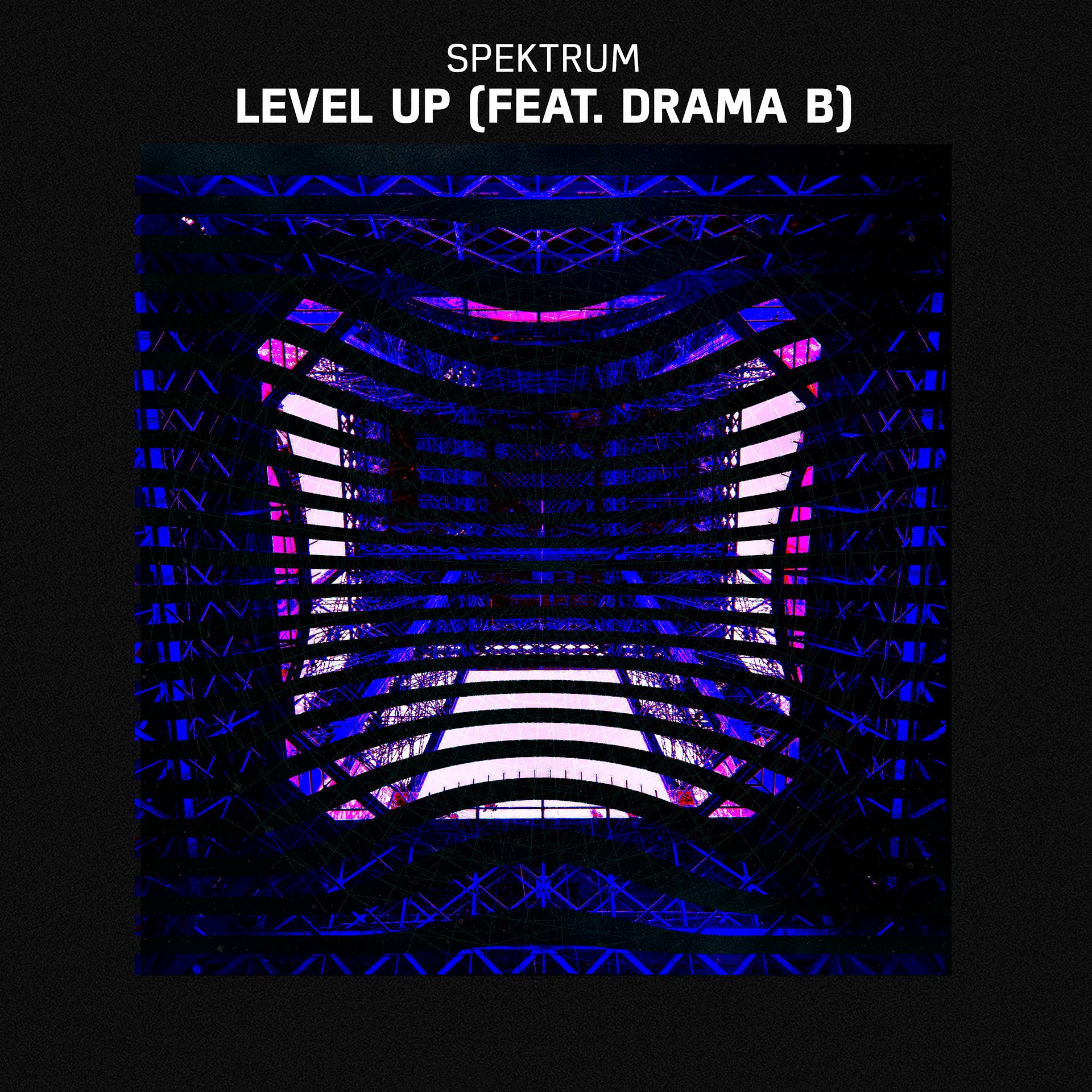 Постер альбома Level Up (feat. Drama B)