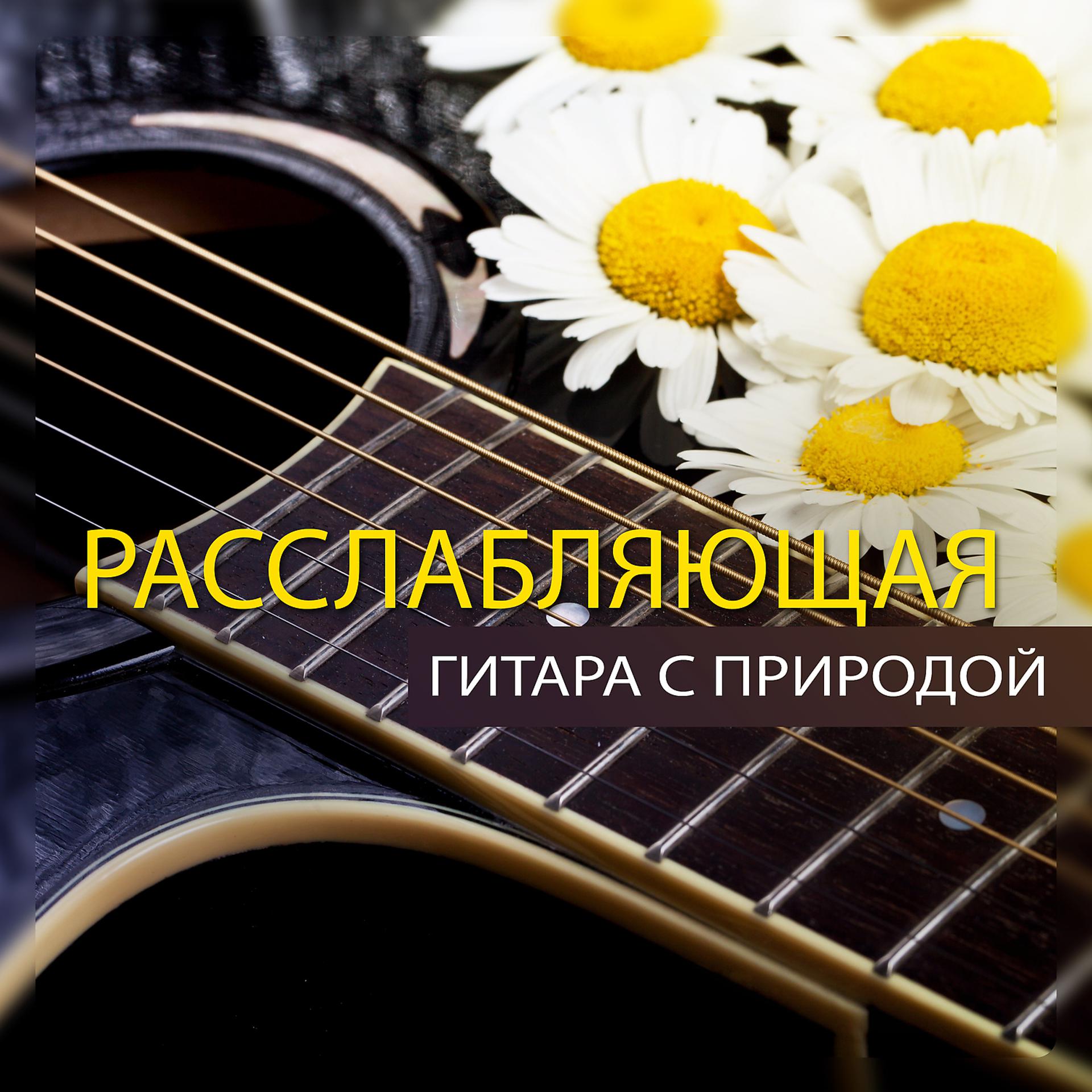 Постер альбома Расслабляющая гитара с природой: Потрясающая музыка, Красивый оазис, День гармонии