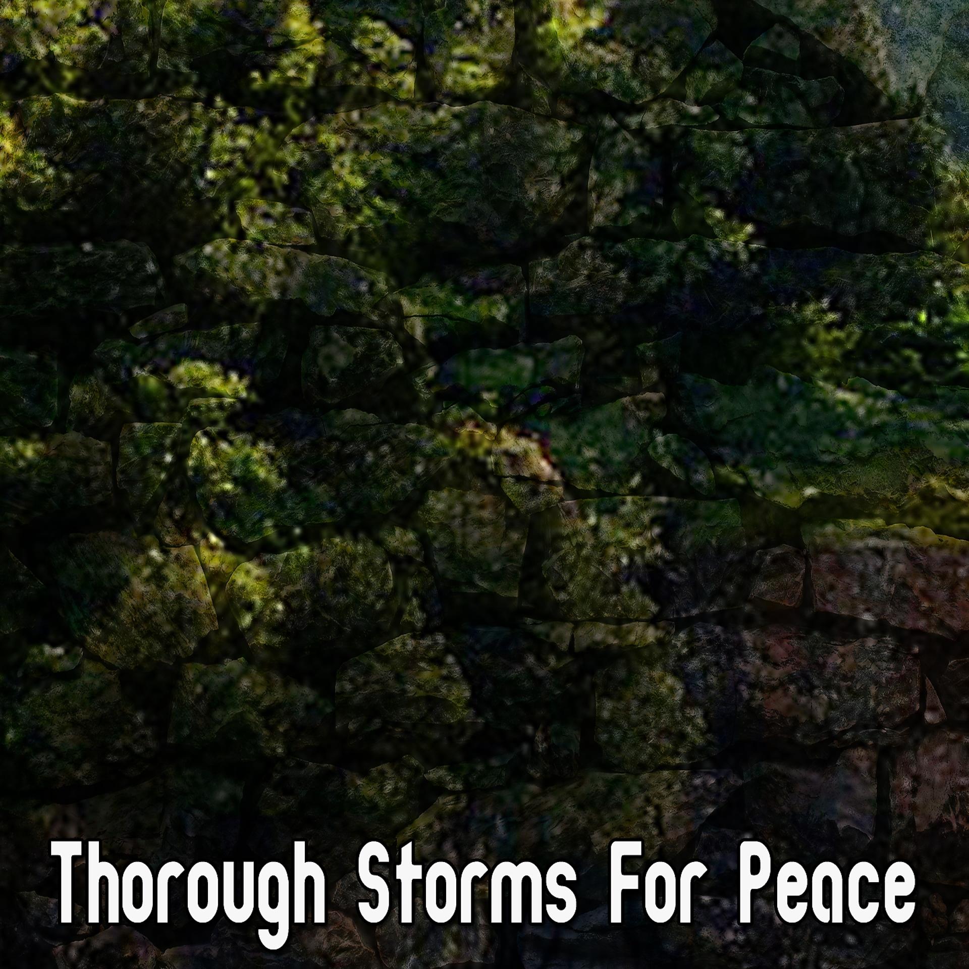 Постер альбома Thorough Storms For Peace