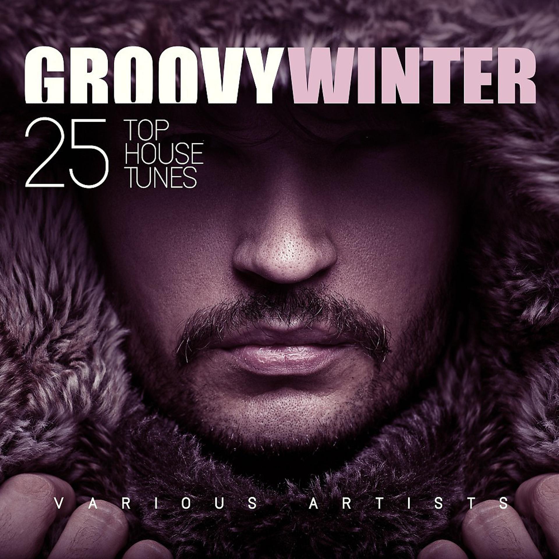 Постер альбома Groovy Winter (25 Top House Tunes)