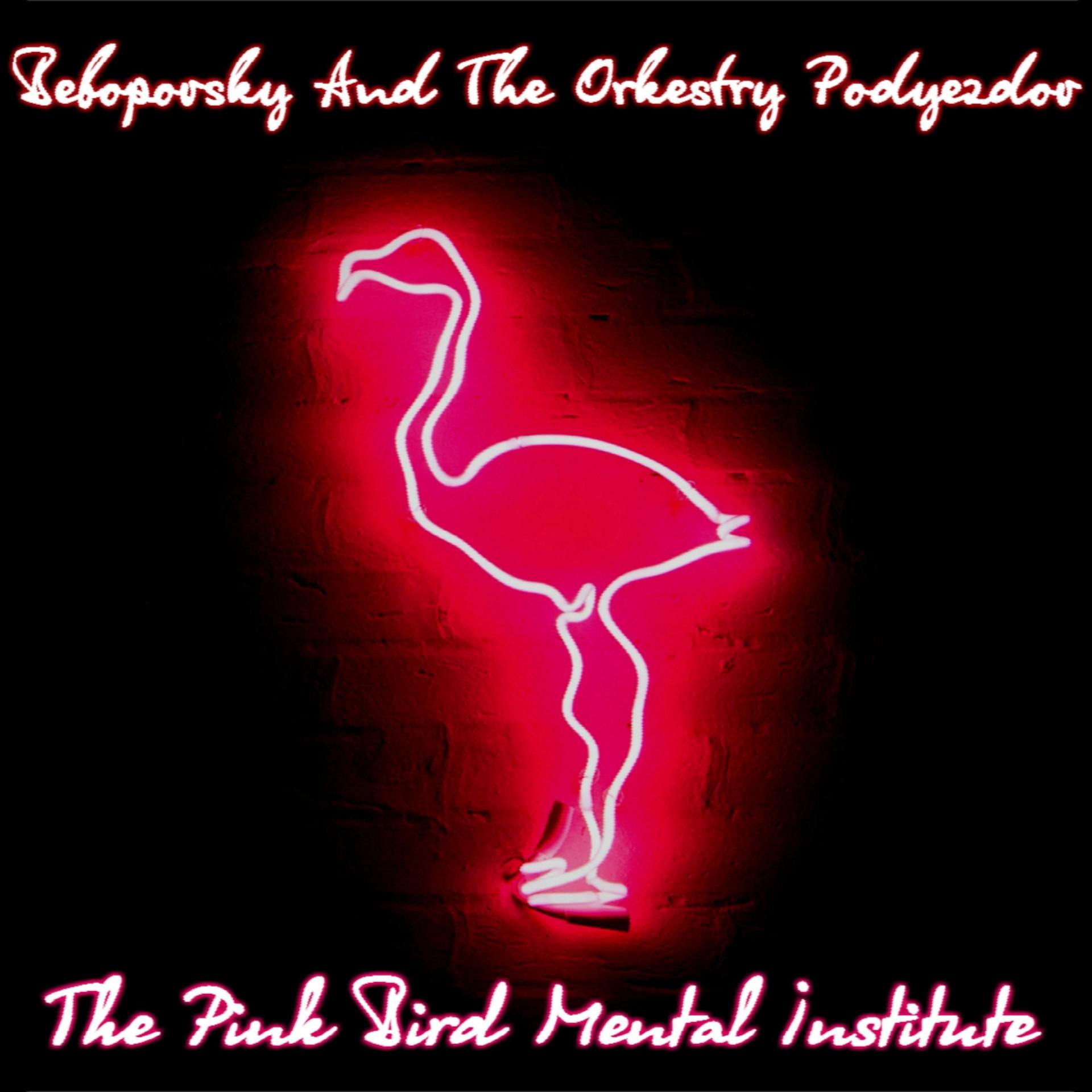 Постер альбома The Pink Bird Mental Institute