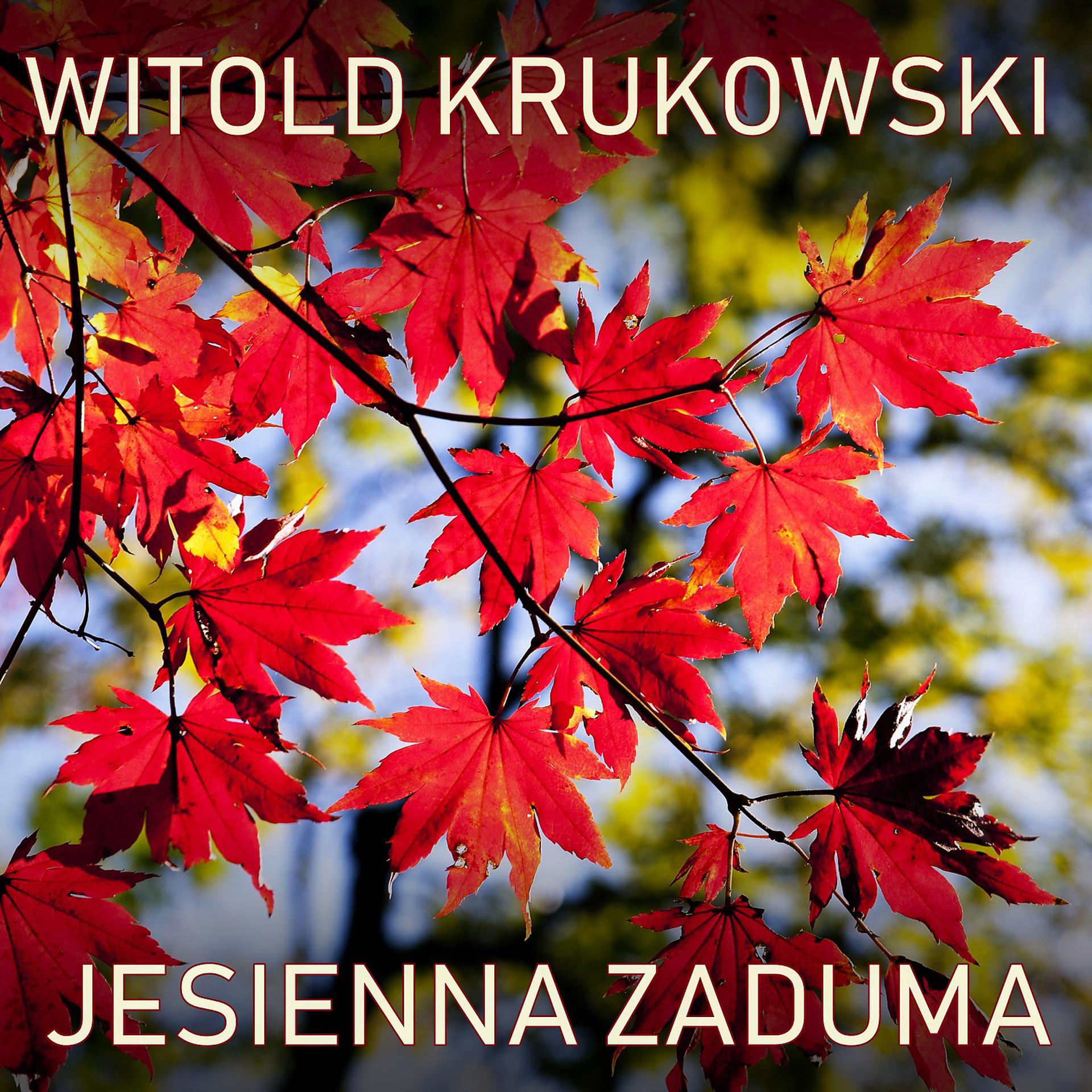Постер альбома Jesienna Zaduma