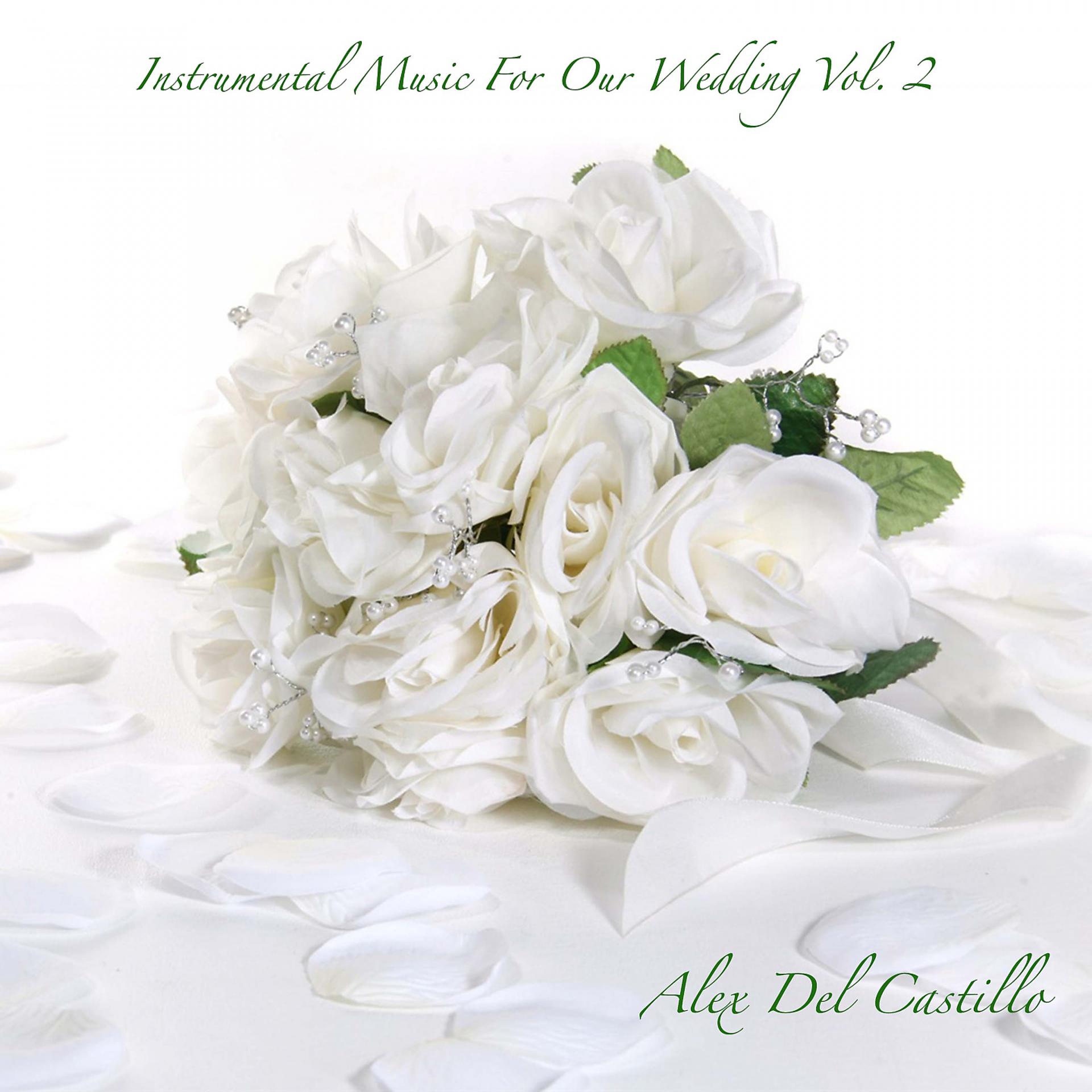 Постер альбома Instrumental Music for Our Wedding, Vol. 2