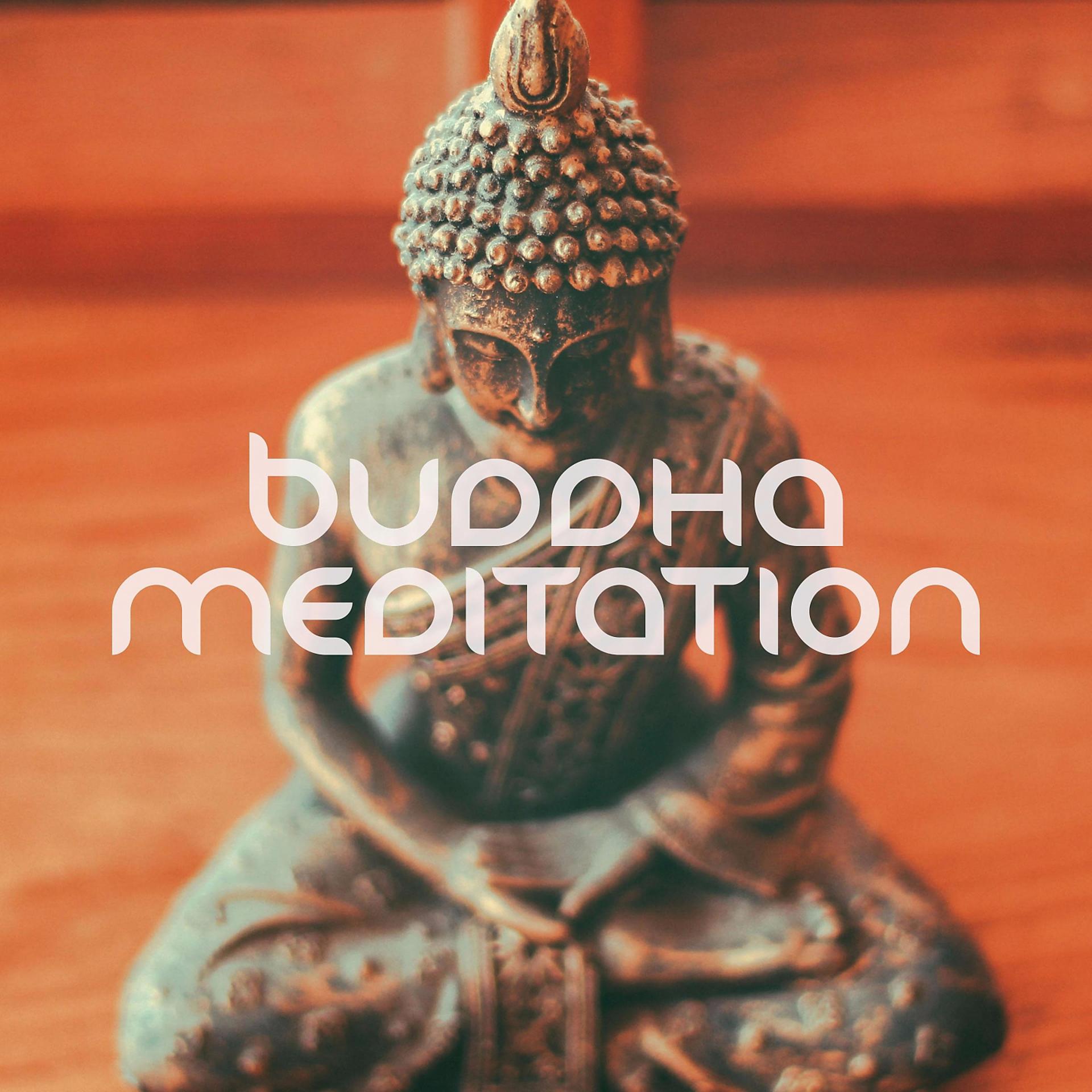 Постер к треку Vipassana Meditation Project - Vipassana Meditation