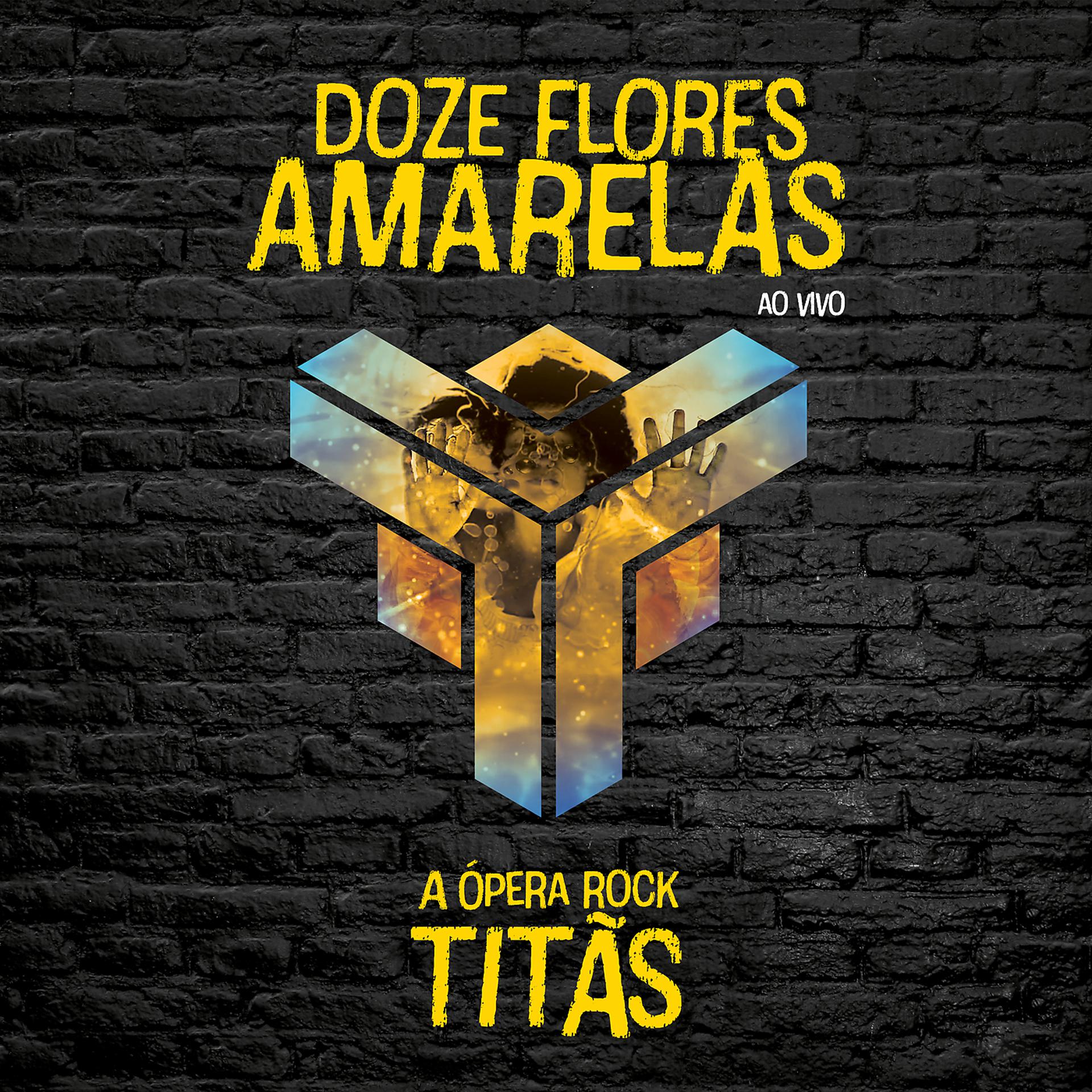 Постер альбома Doze Flores Amarelas - A Ópera Rock