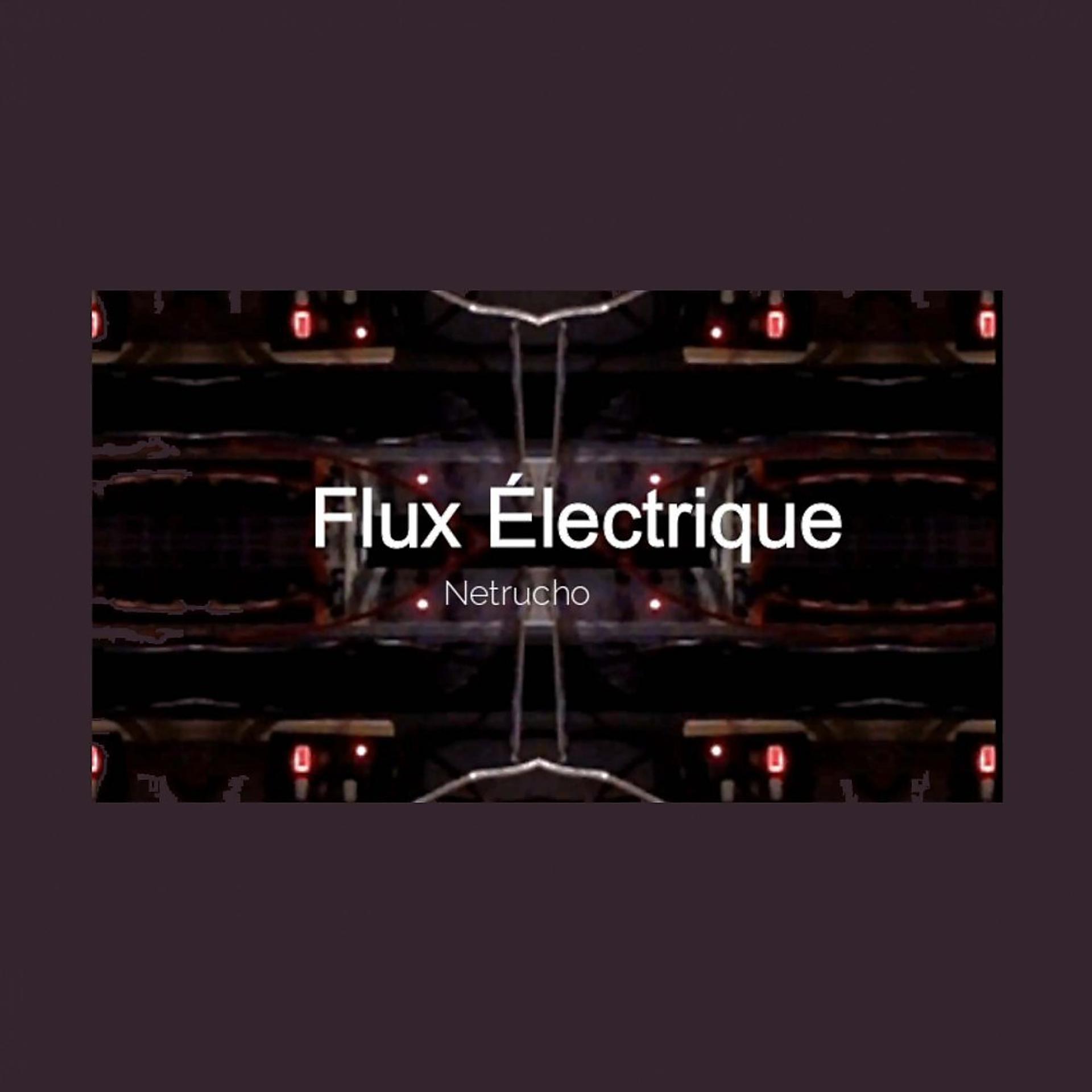 Постер альбома Flux électrique
