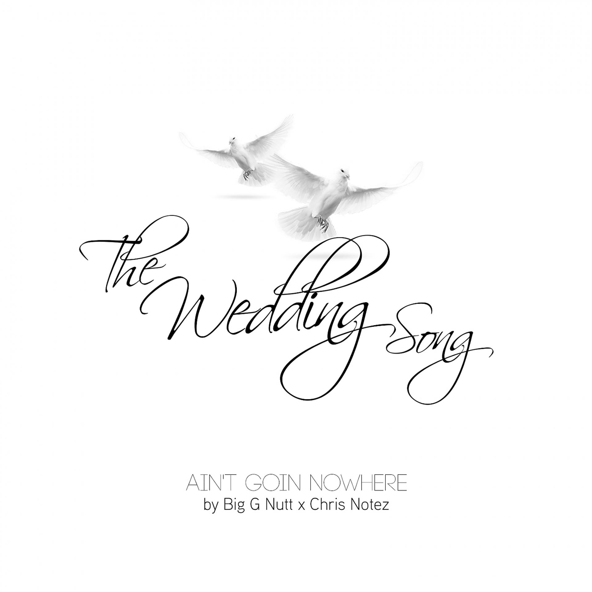 Постер альбома The Wedding Song / Ain't Goin Nowhere