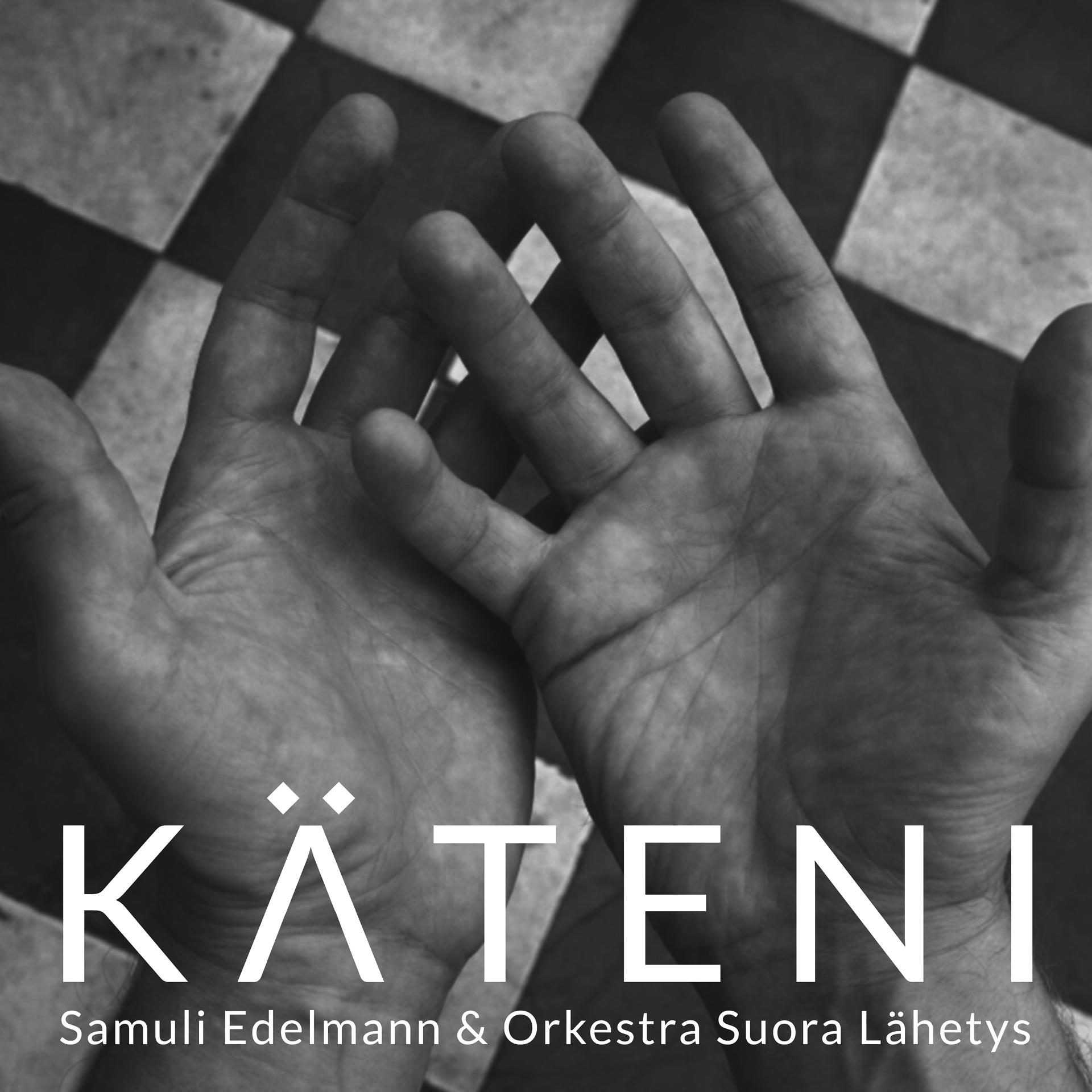 Постер альбома Käteni