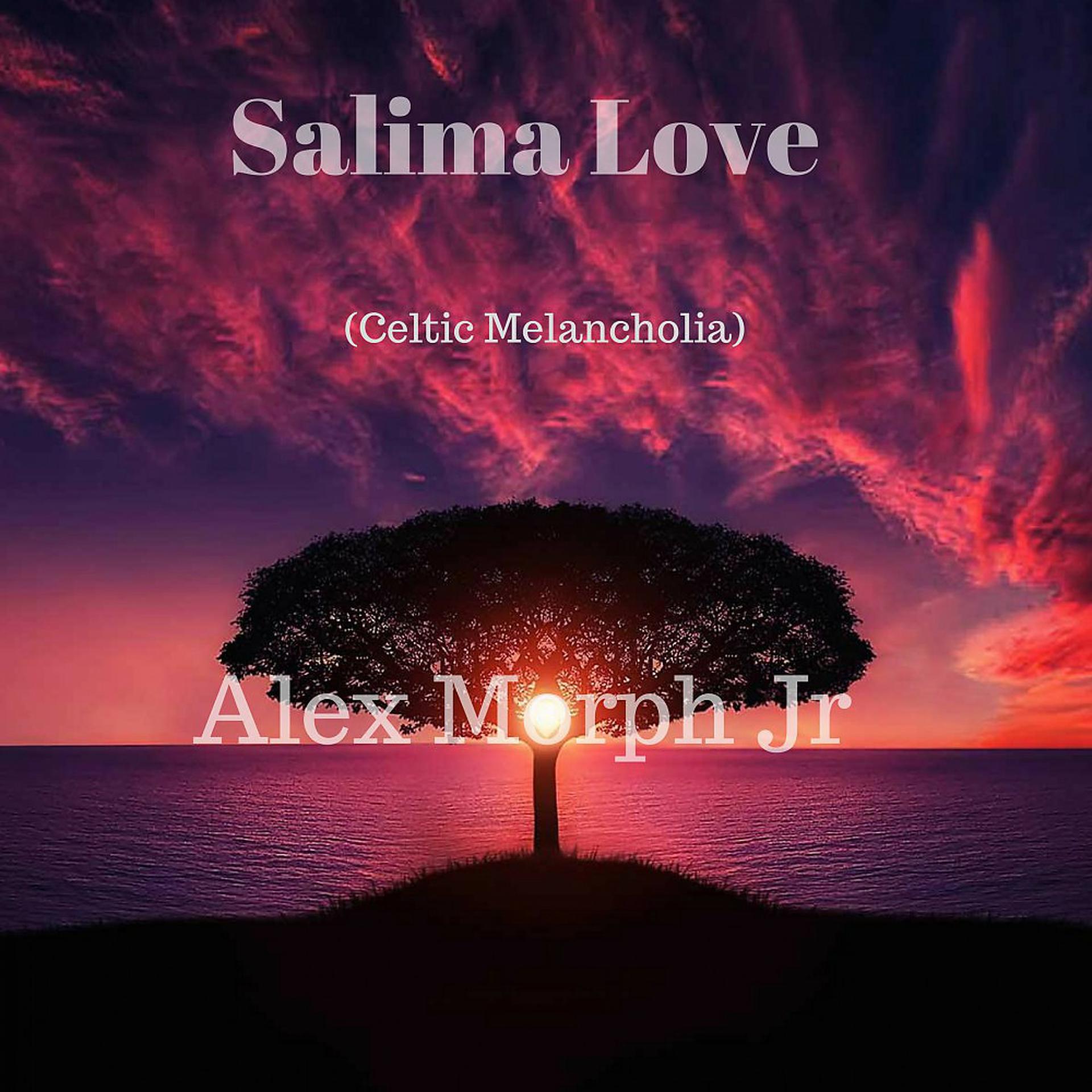 Постер альбома Salima Love (Celtic Melancholia)