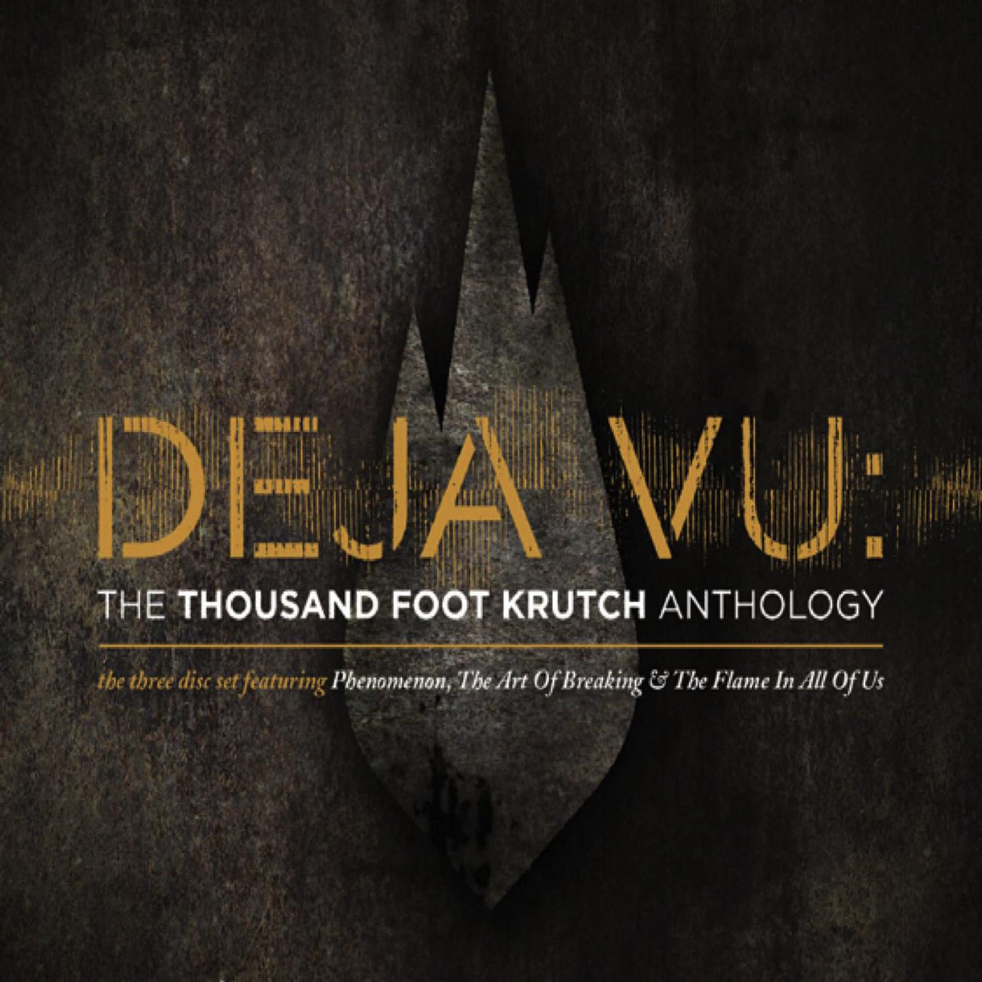 Постер альбома Deja Vu: The TFK Anthology