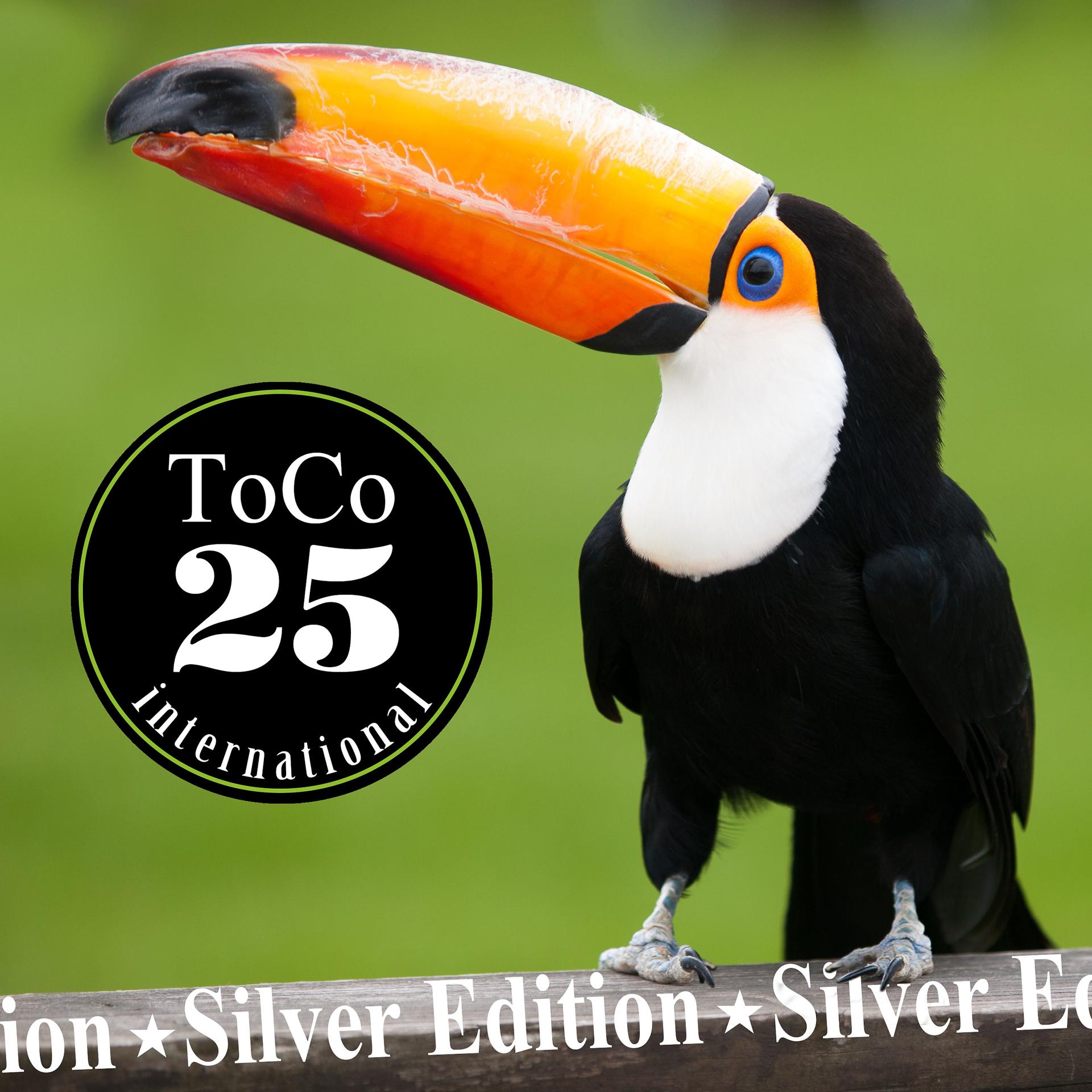 Постер альбома Toco Silver Edition