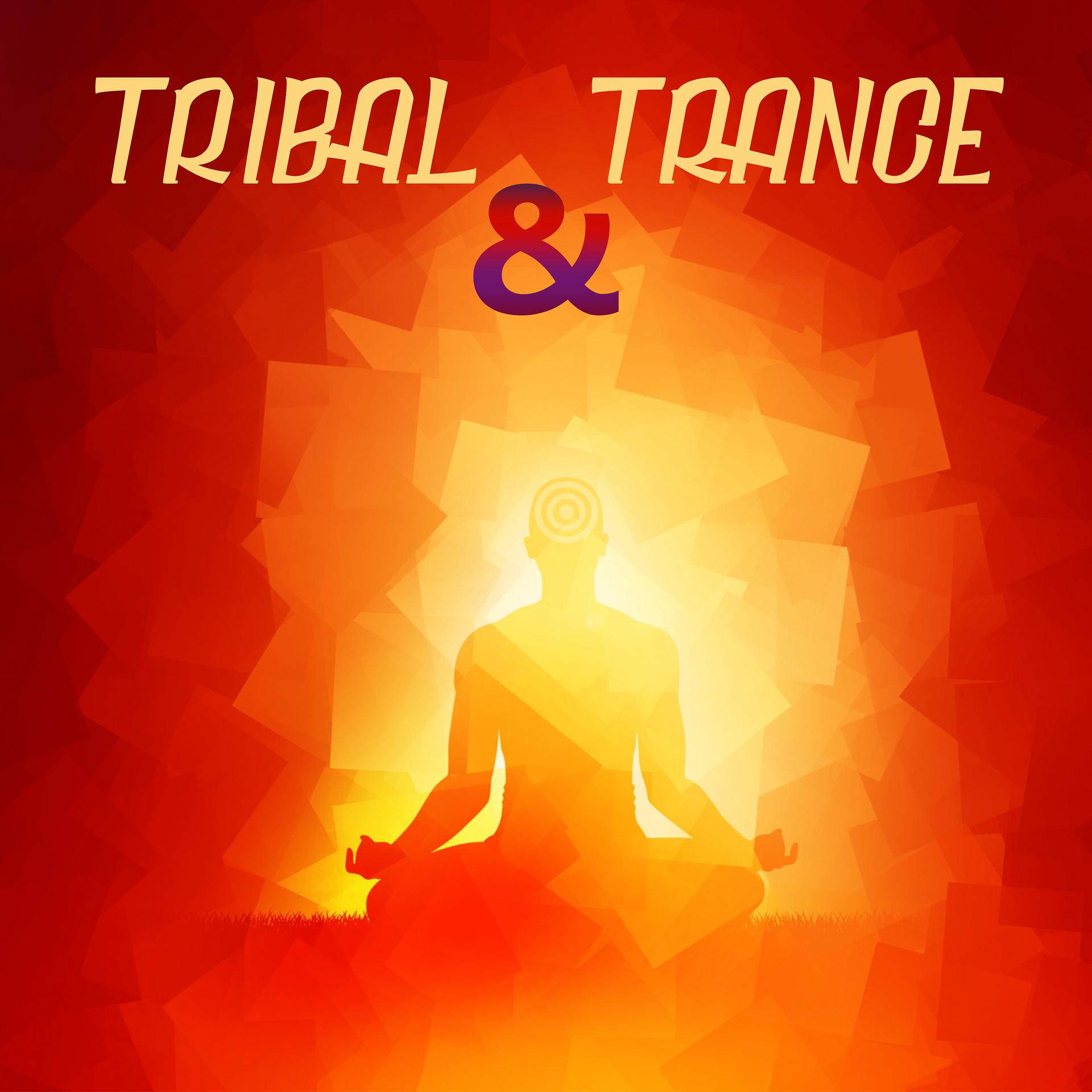 Постер альбома Tribal & Trance