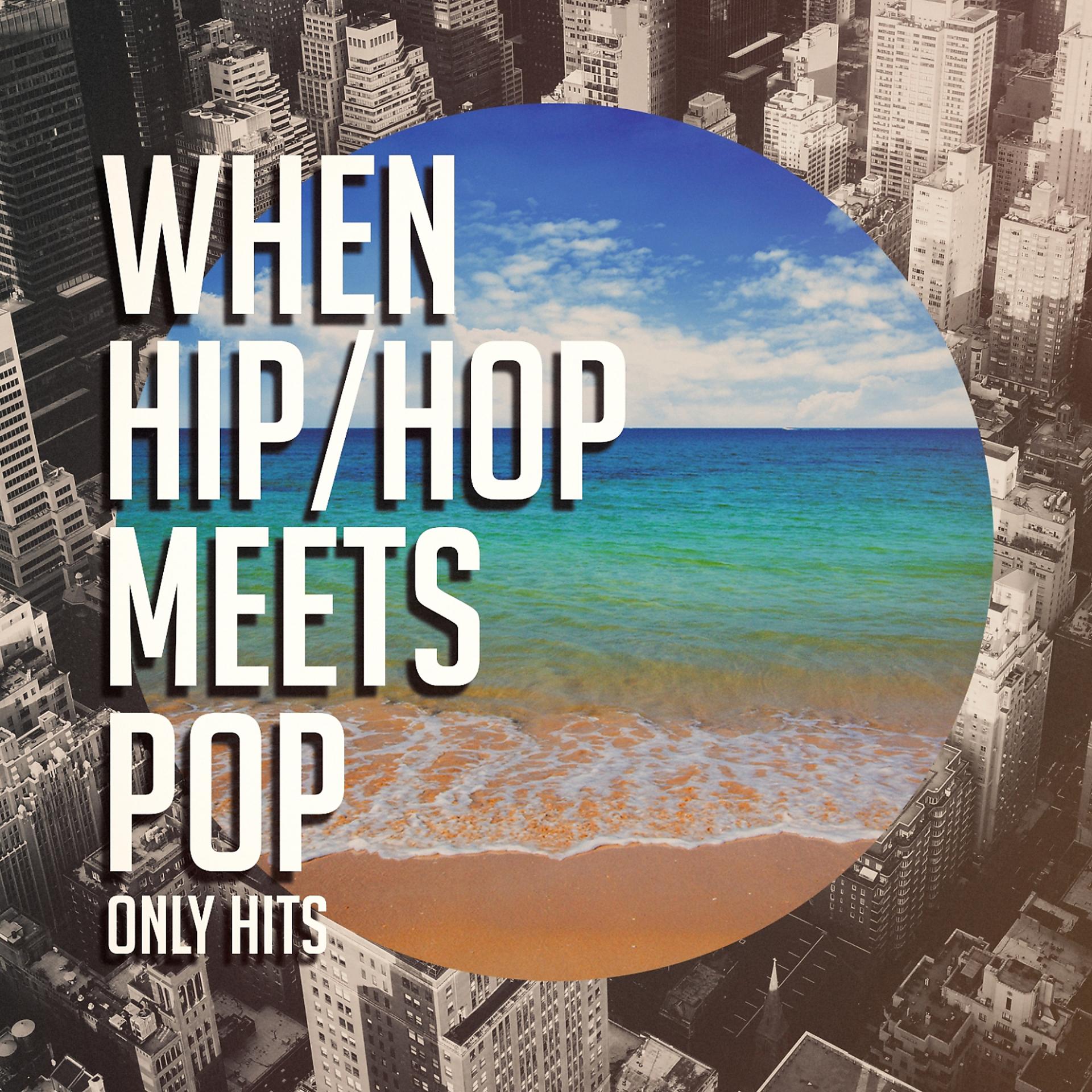 Постер альбома When Hip-Hop Meets Pop (Only Hits)