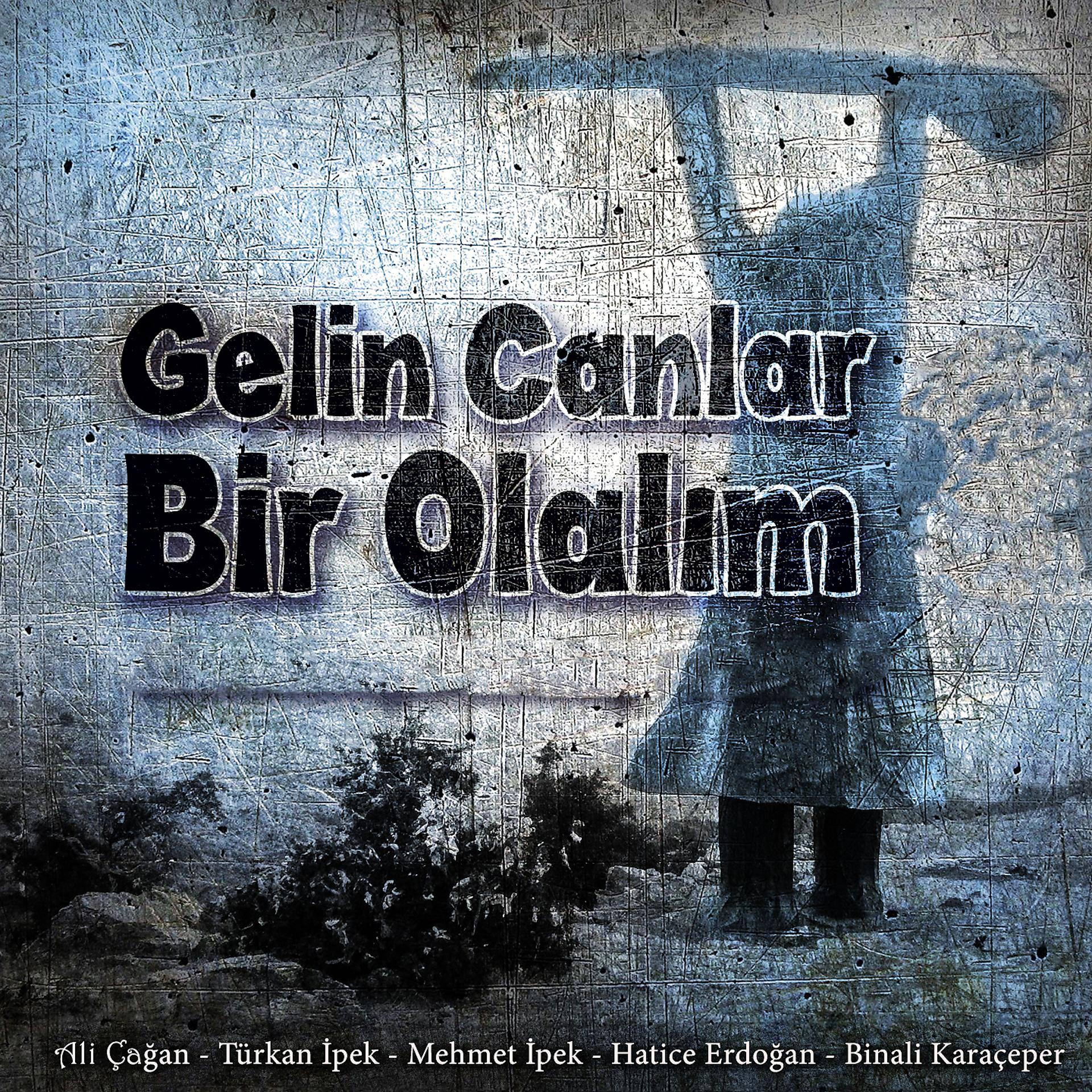 Постер альбома Gelin Canlar Bir Olalım