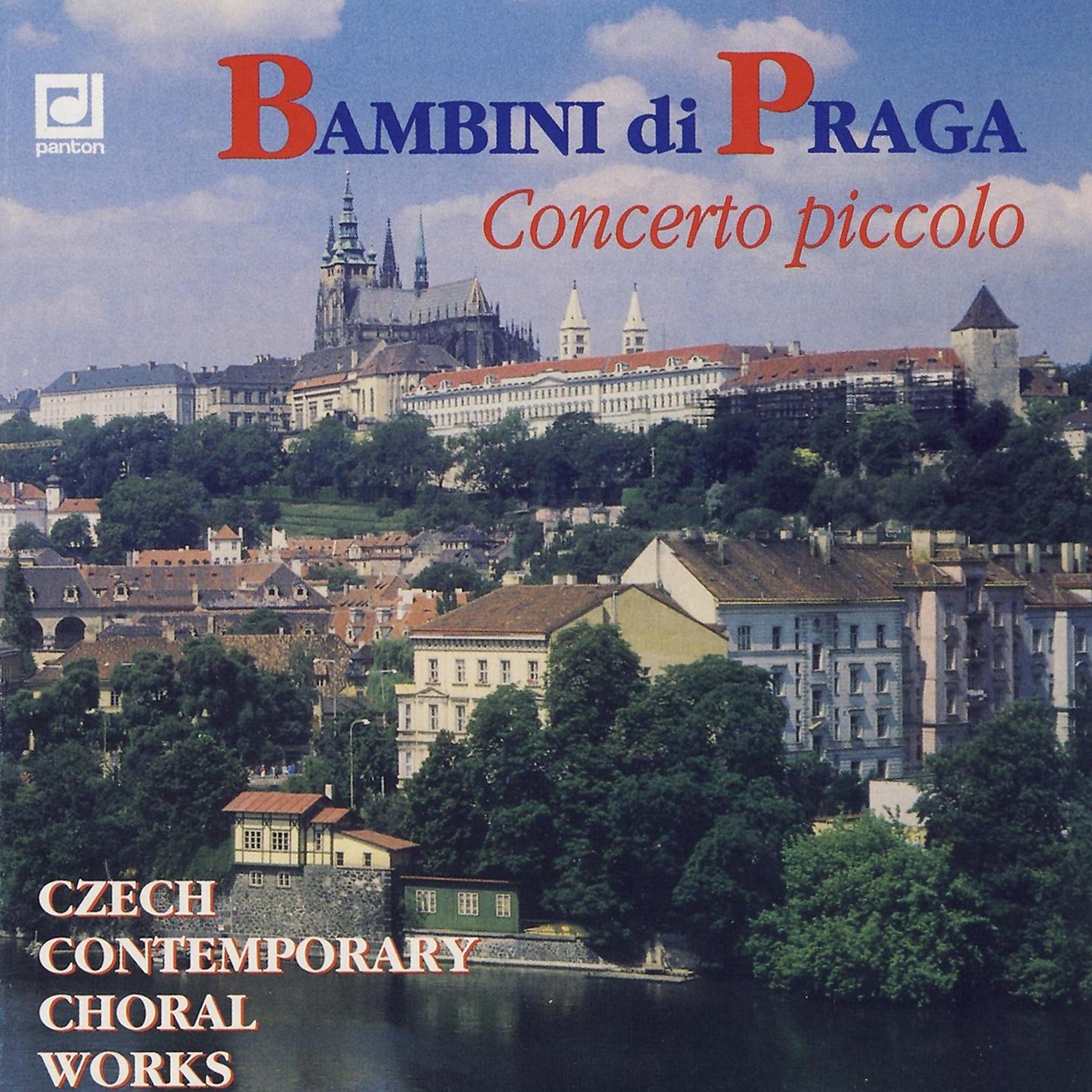 Постер альбома Czech Contemporary Choral Works: Concerto piccolo