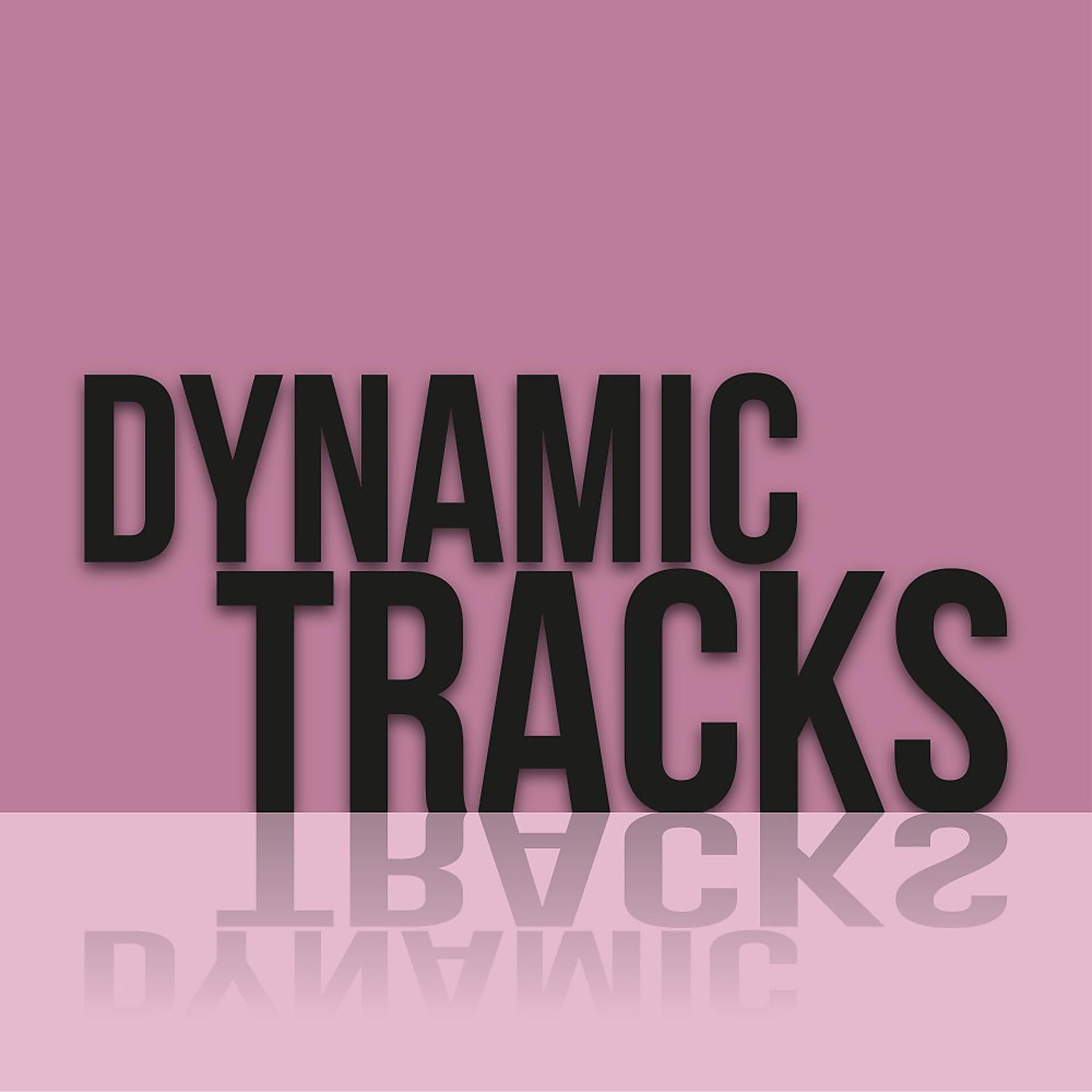 Постер альбома Dynamic Tracks