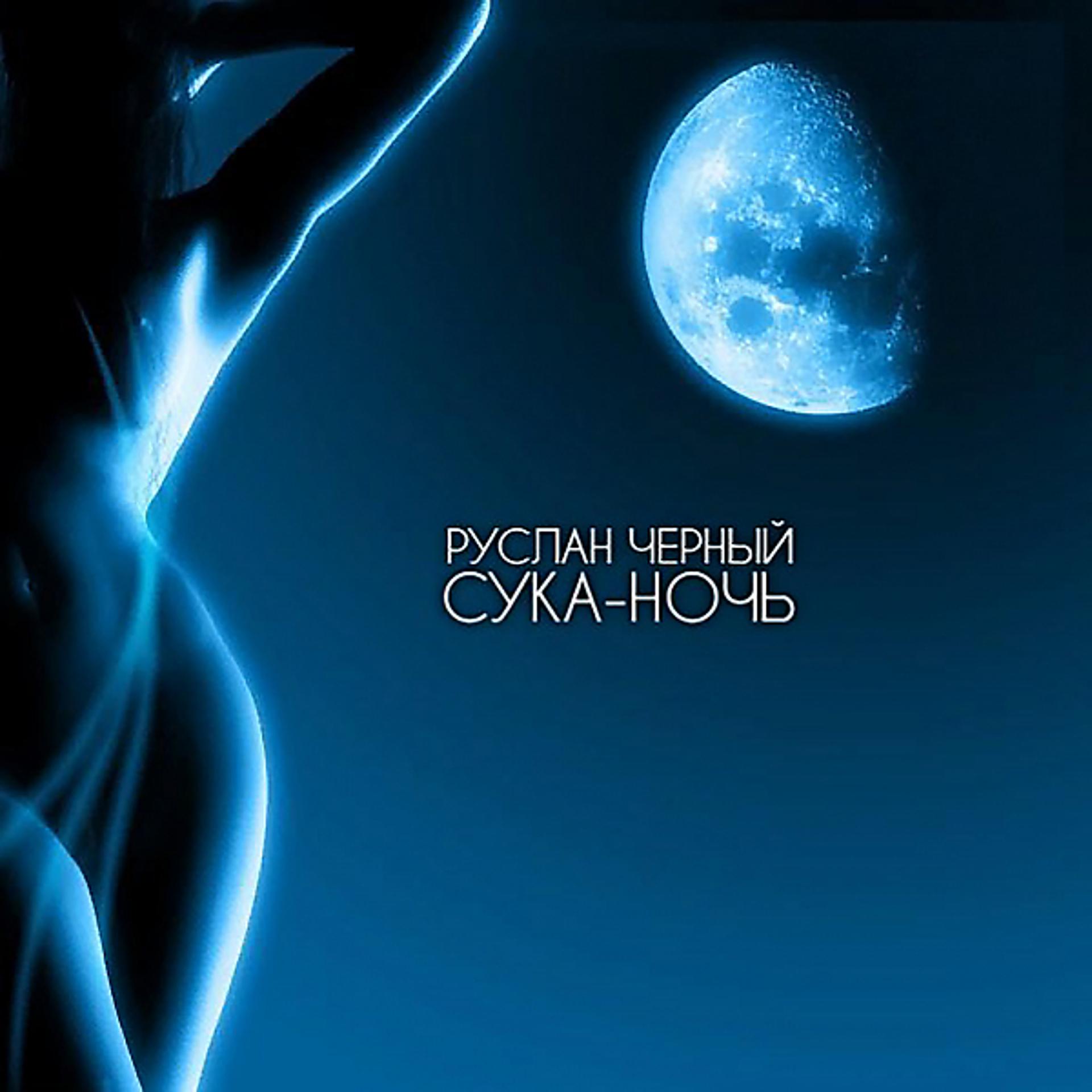 Постер альбома Сука-ночь
