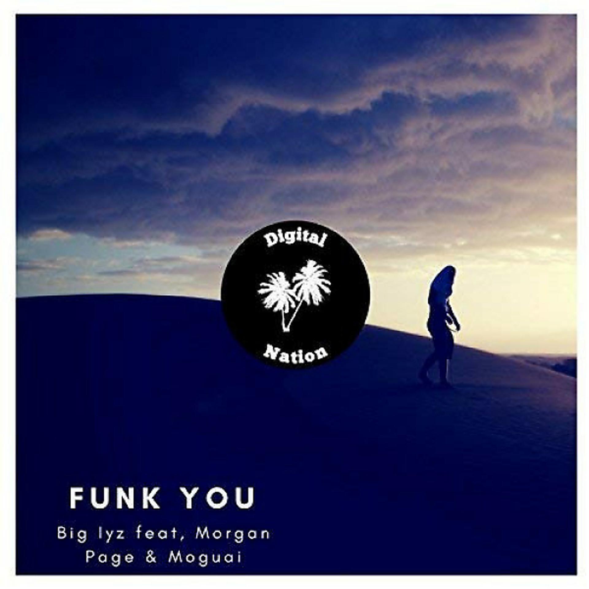 Постер альбома Funk you (feat. Moguai & Alan Walker)