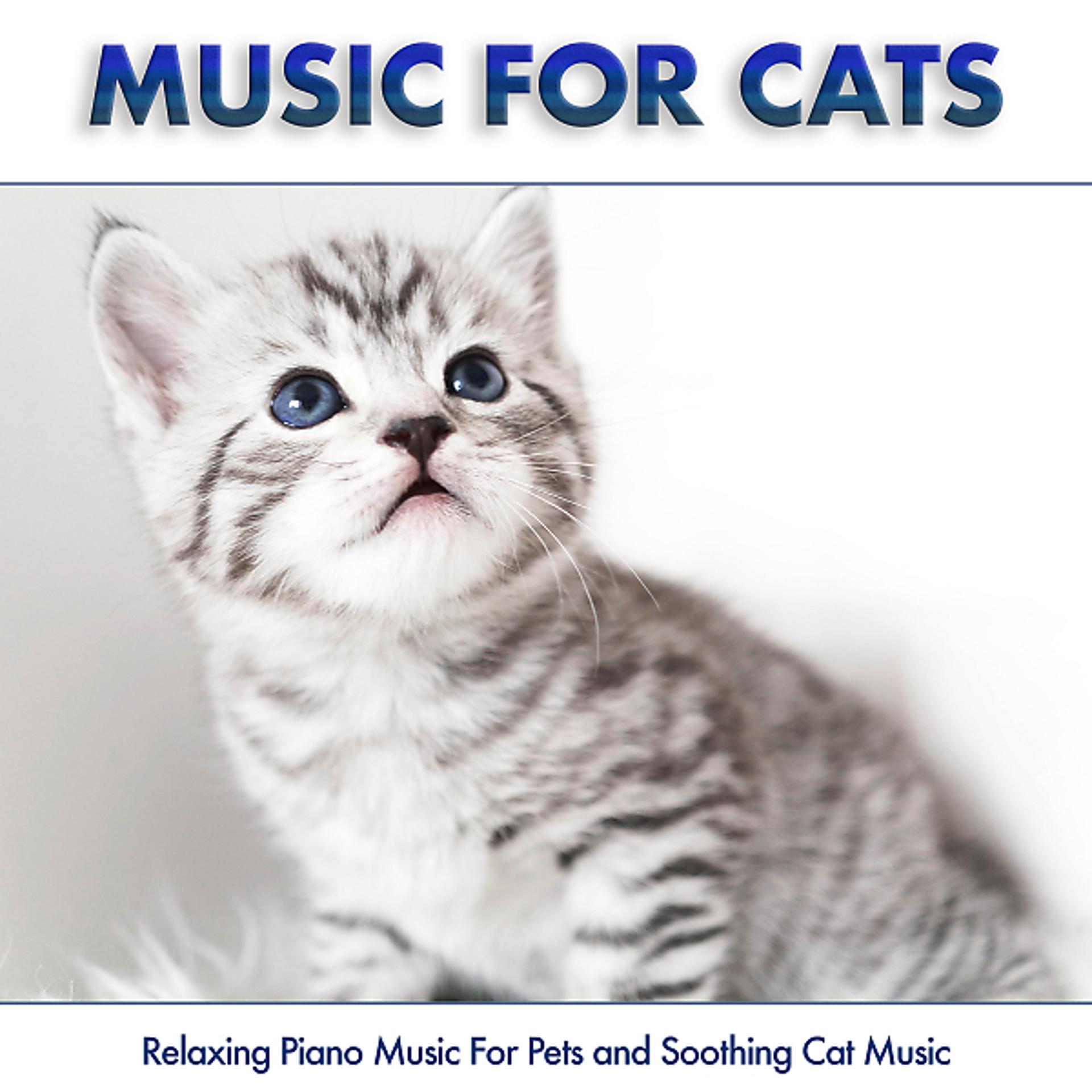 Постер альбома Music For Cats: Relaxing Piano Music For Pets and Soothing Cat Music