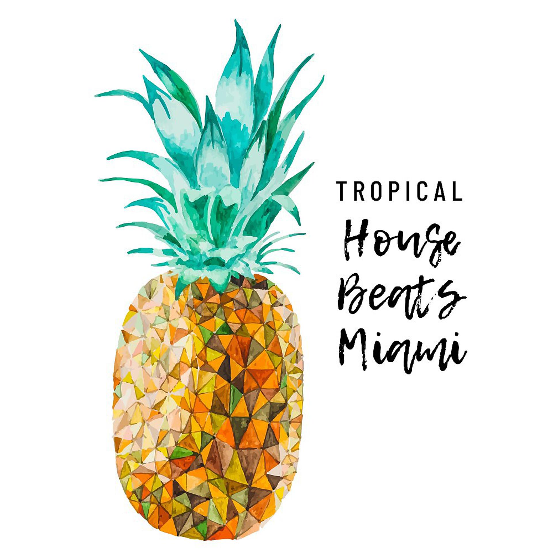Постер альбома Tropical House Beats Miami