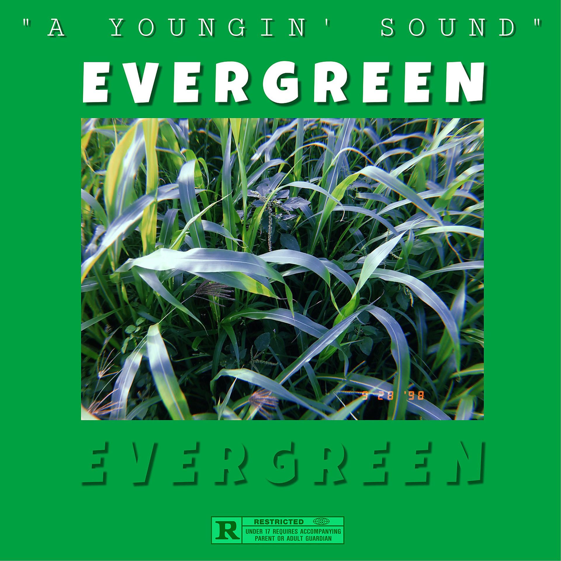 Постер альбома Evergreen