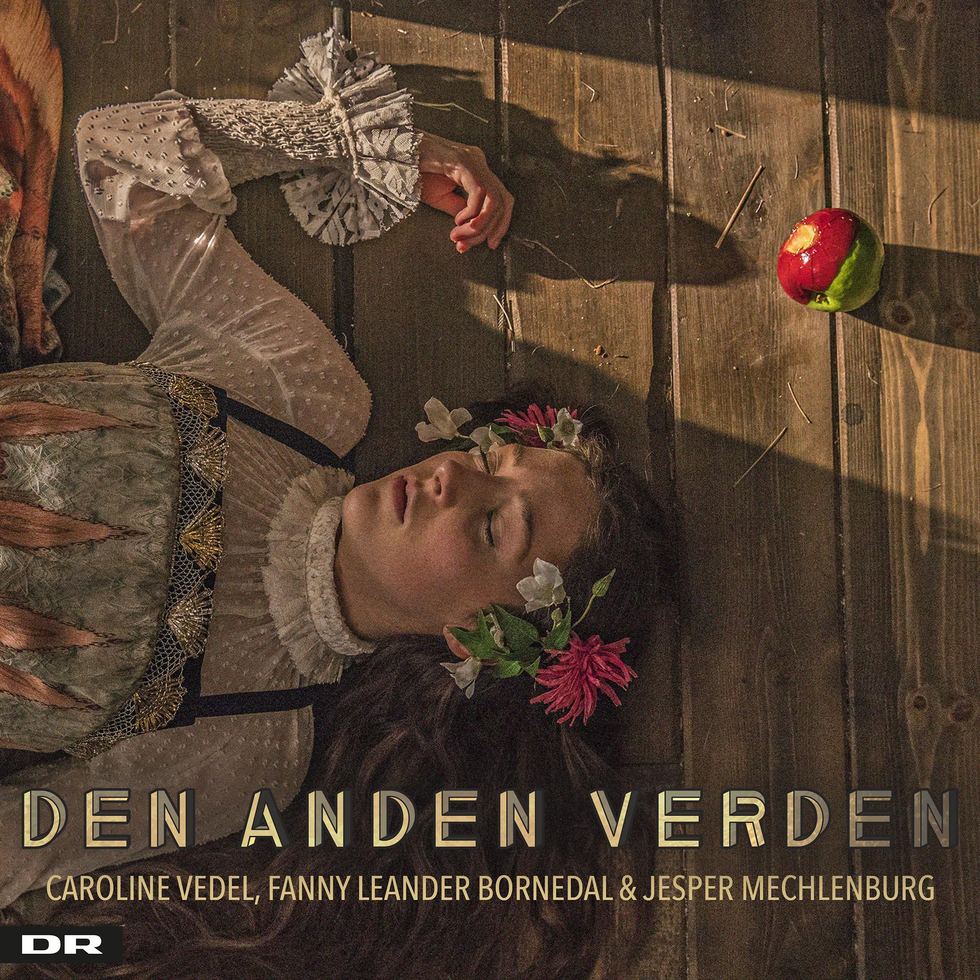 Постер альбома Den Anden Verden