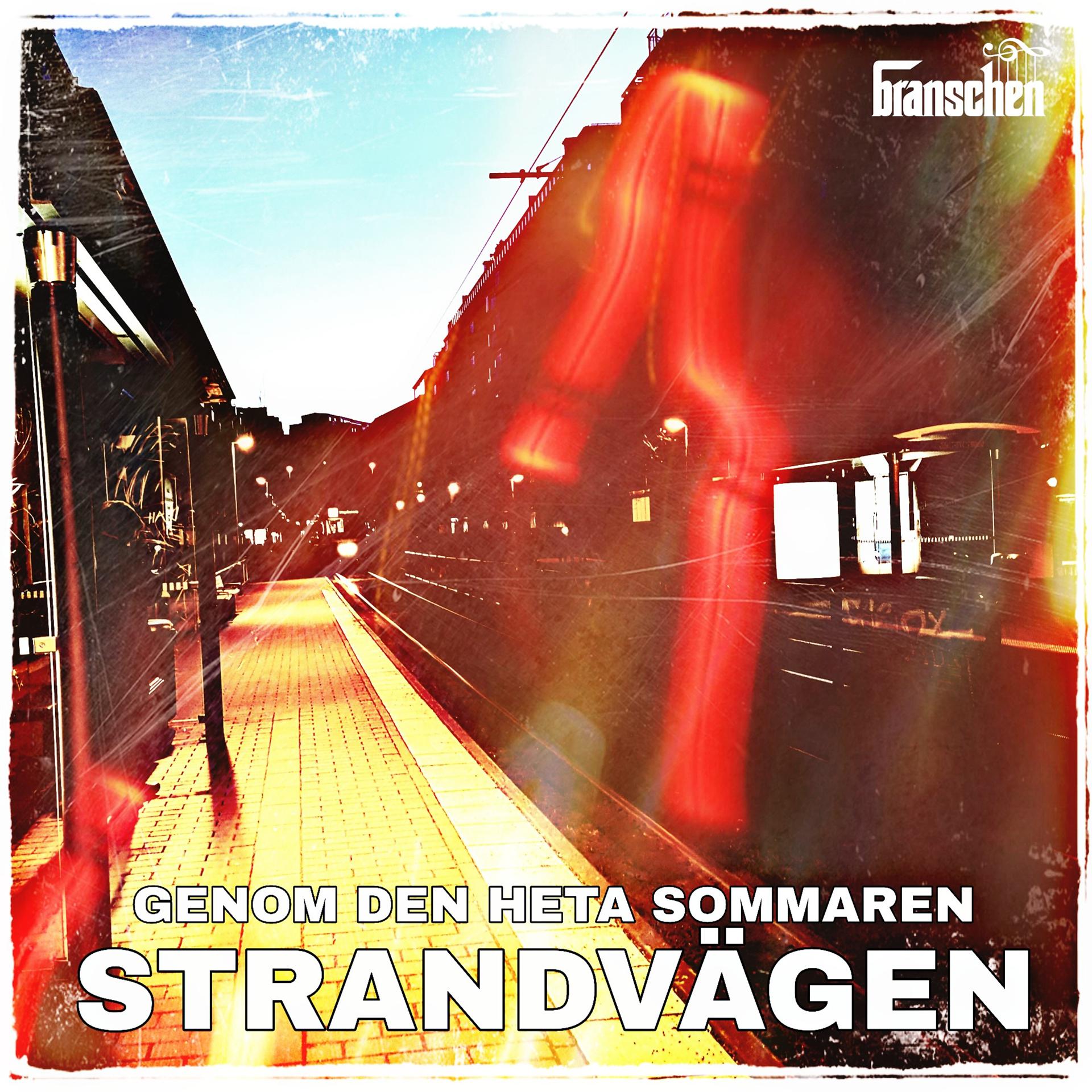 Постер альбома Genom Den Heta Sommaren