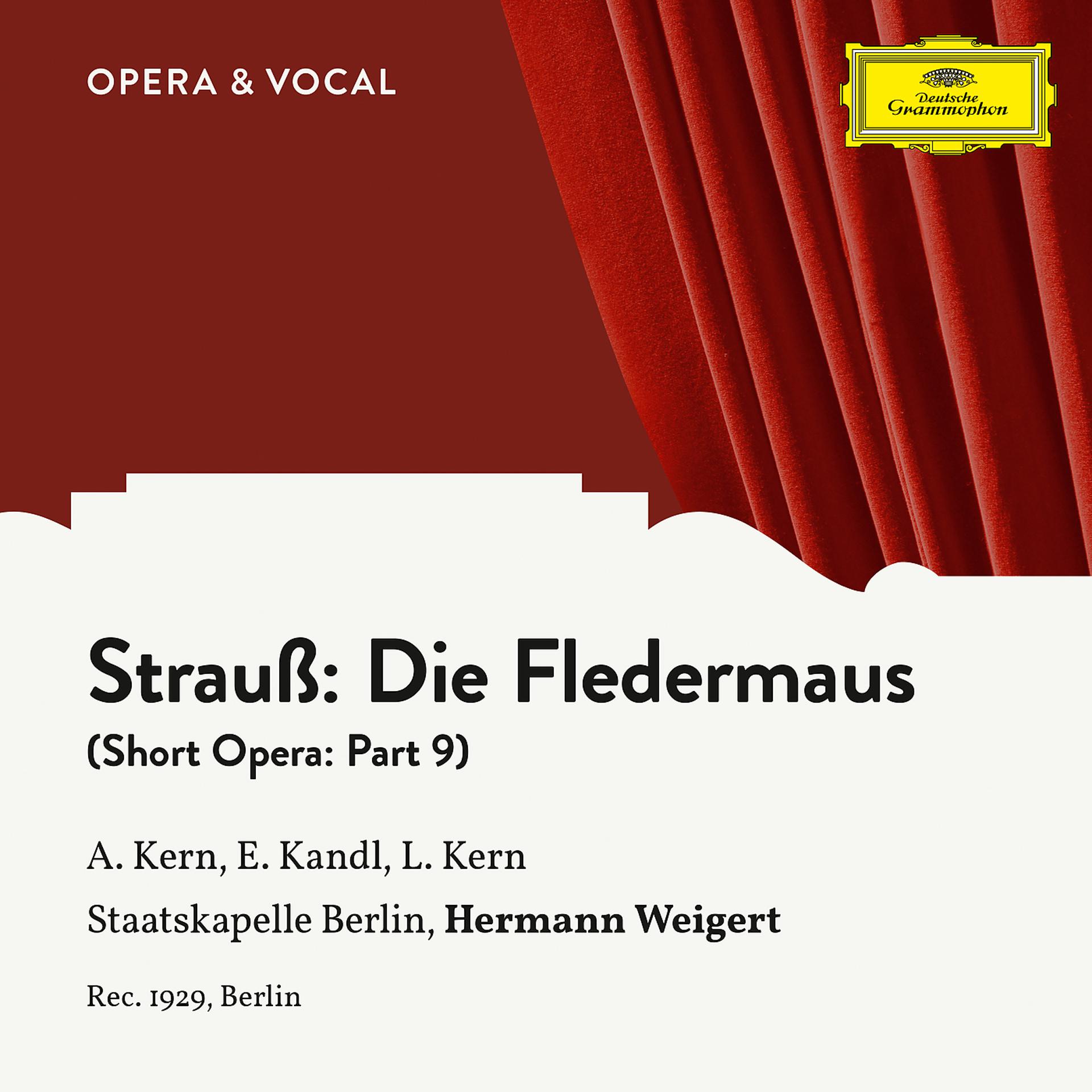 Постер альбома Strauss: Die Fledermaus: Part 9