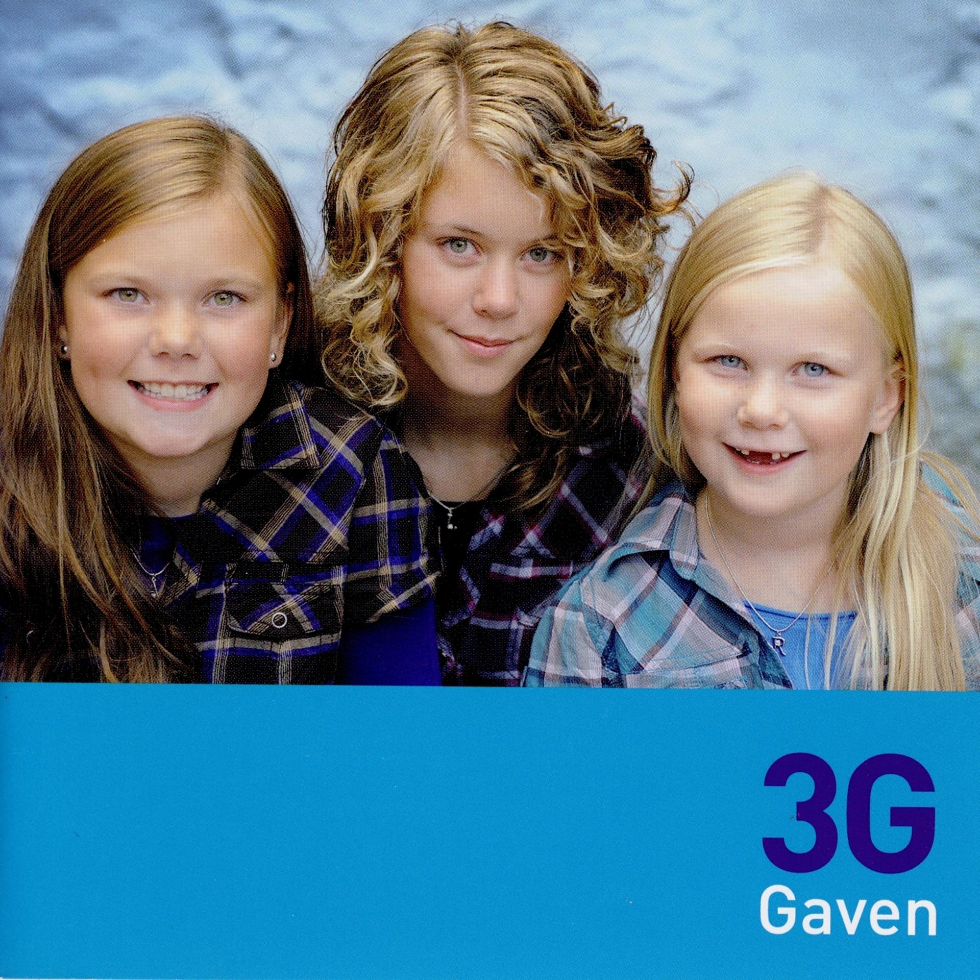 Постер альбома Gaven