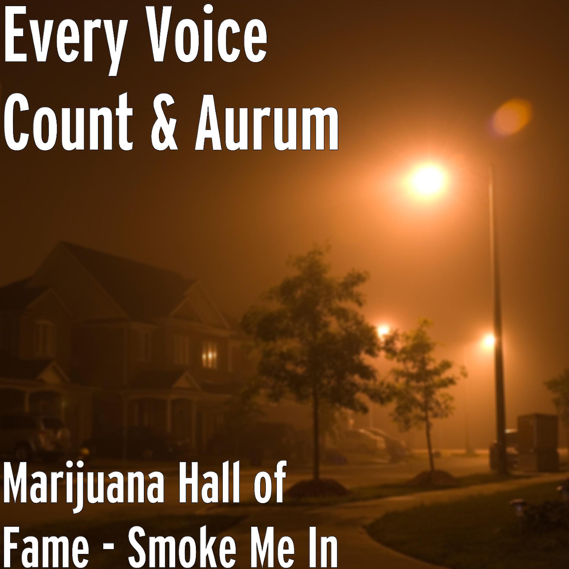 Постер альбома Marijuana Hall of Fame: Smoke Me In