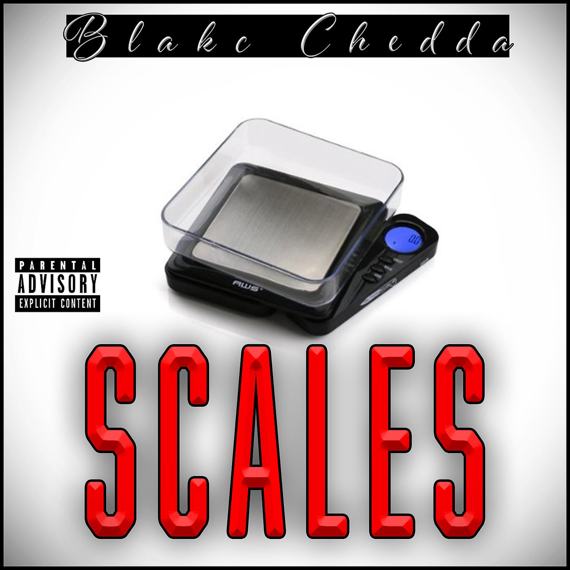 Постер альбома Scales
