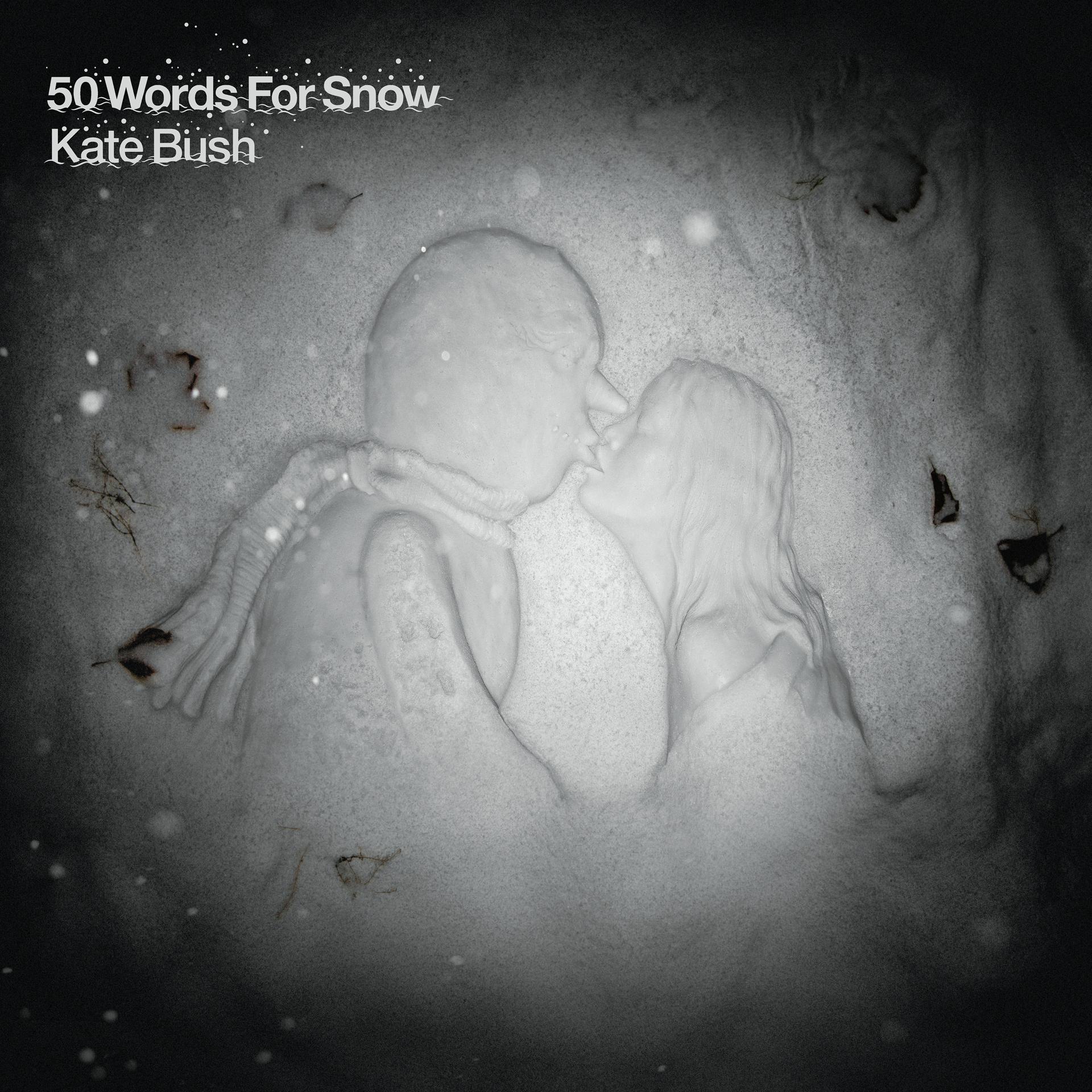 Постер альбома 50 Words for Snow (2018 Remaster)