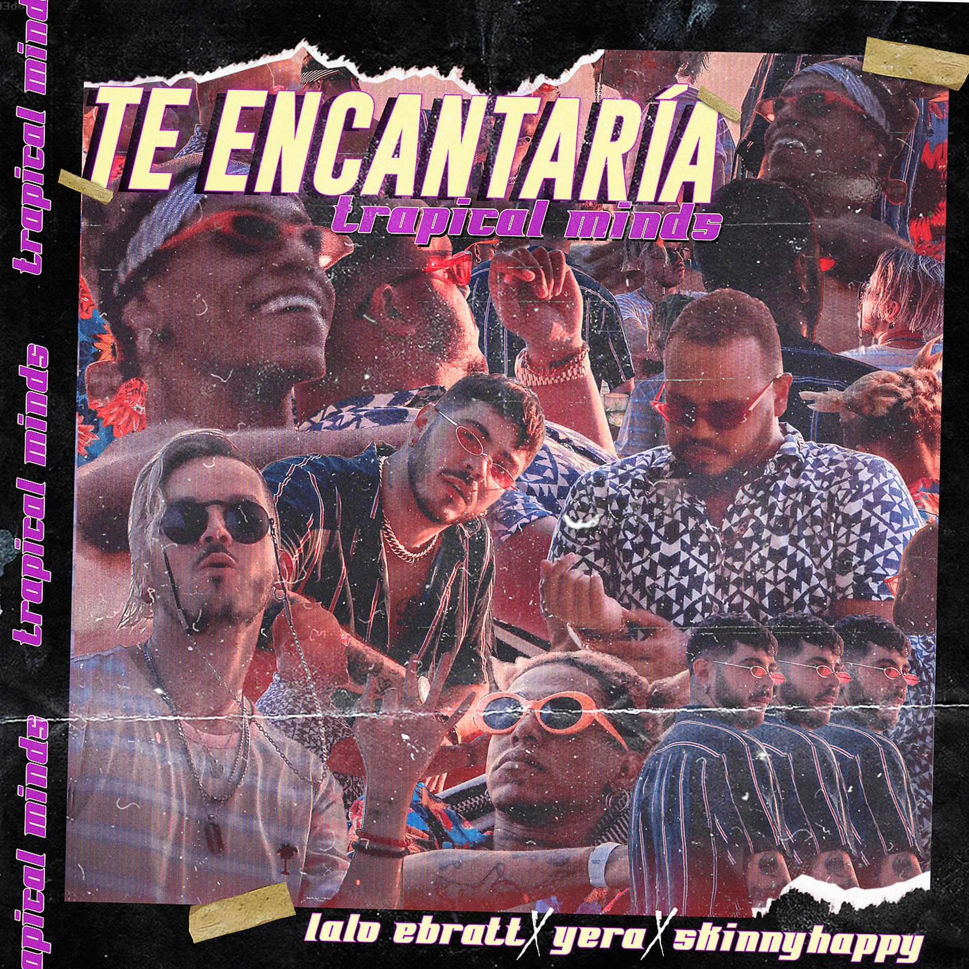 Постер альбома Te Encantaría