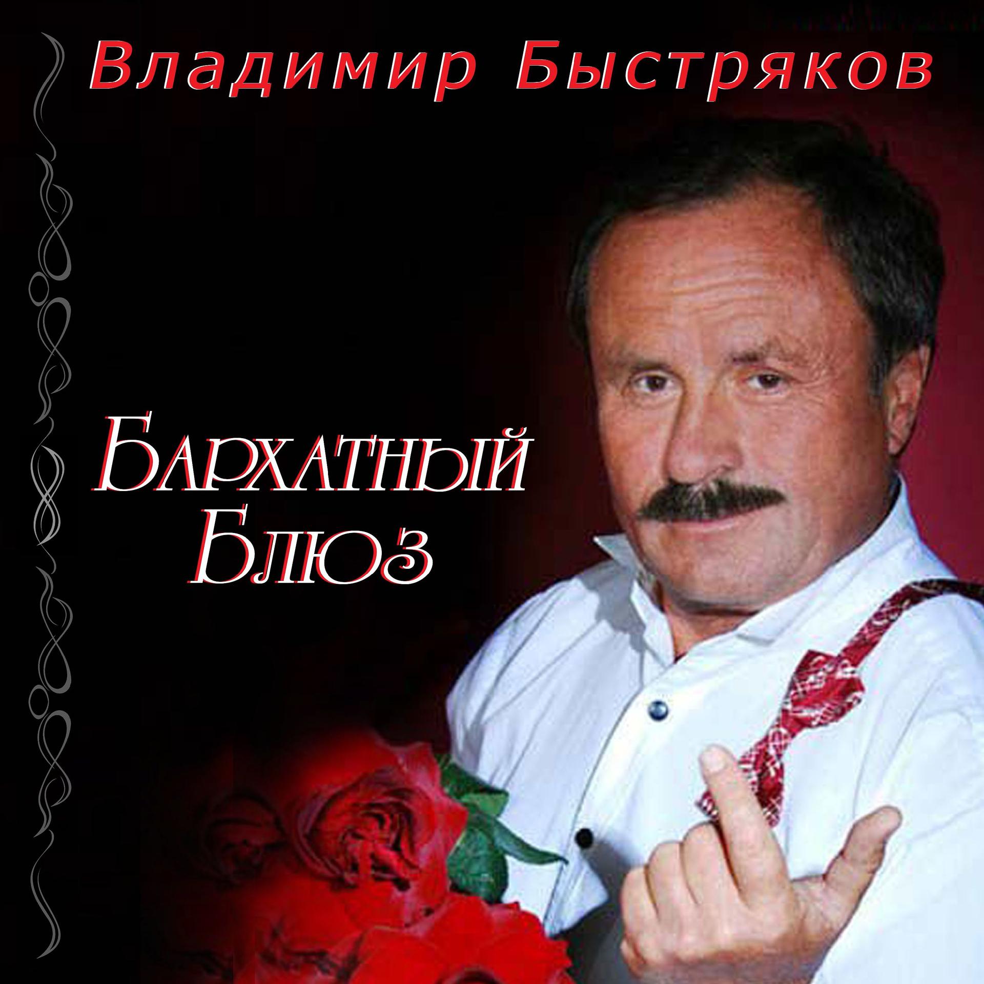 Постер альбома Владимир Быстряков. Бархатный блюз