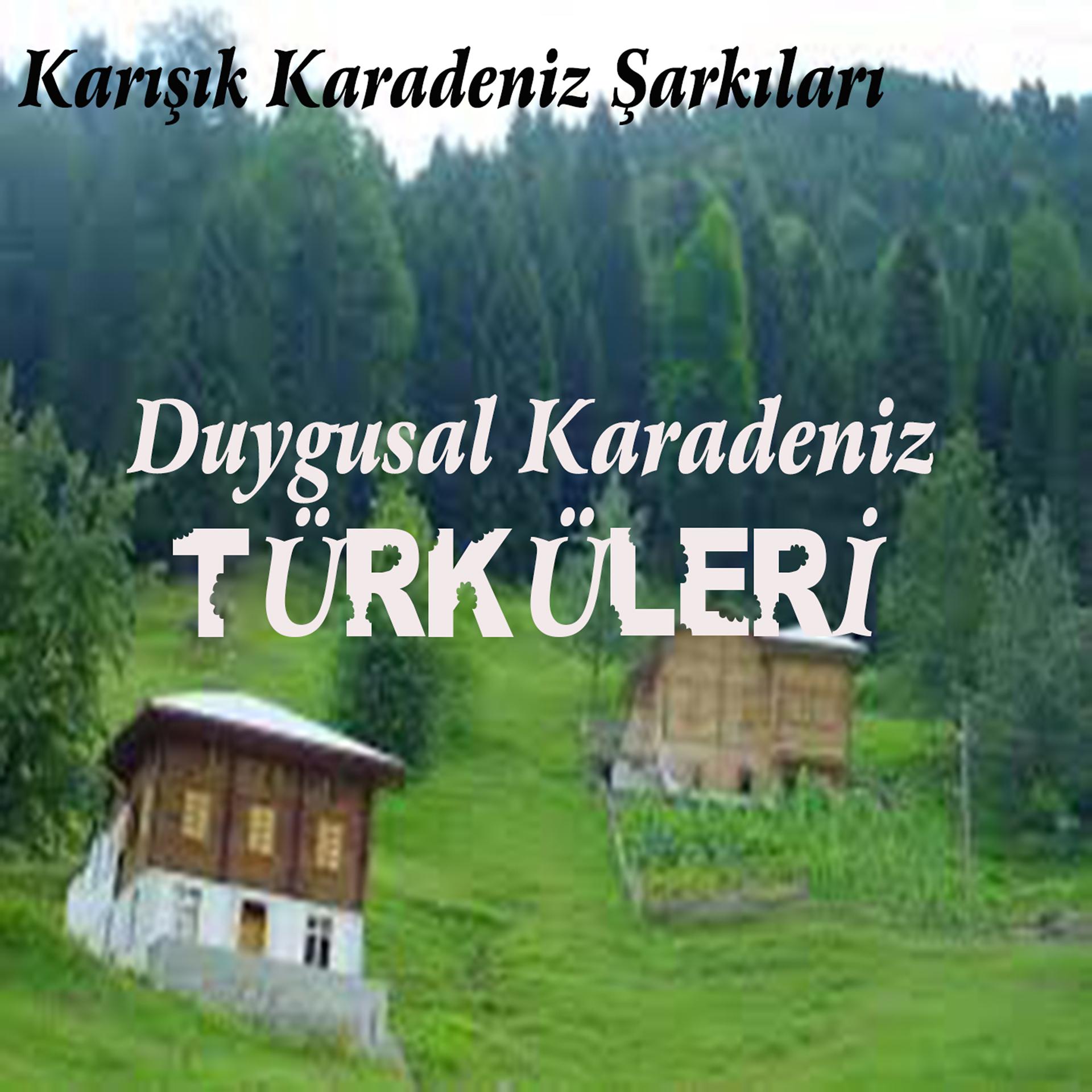 Постер альбома Duygusal Karadeniz Türküleri / Karışık Karadeniz Şarkıları