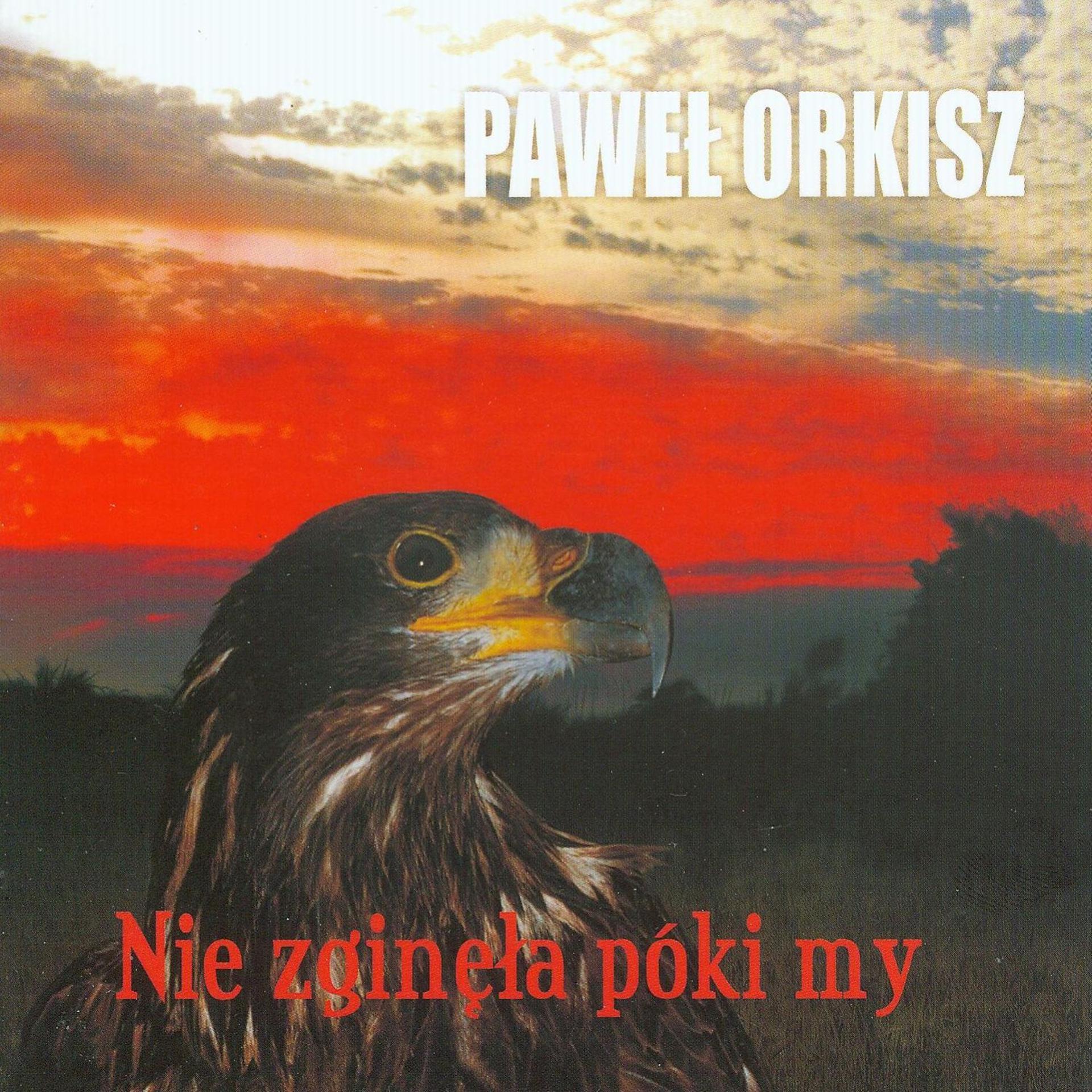 Постер альбома Nie Zginela Póki My