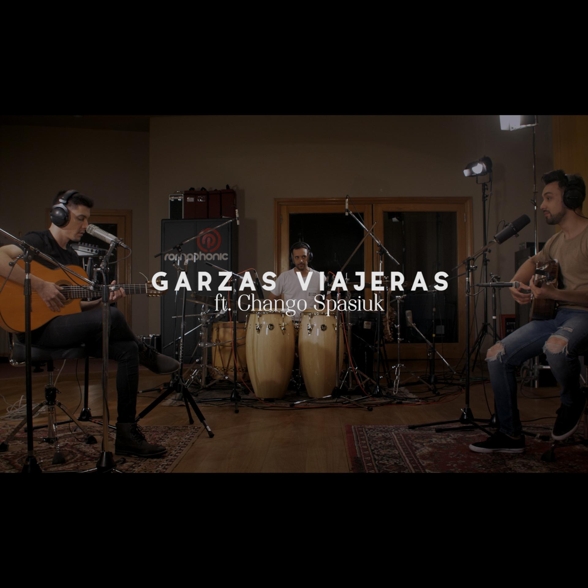 Постер альбома Garzas Viajeras