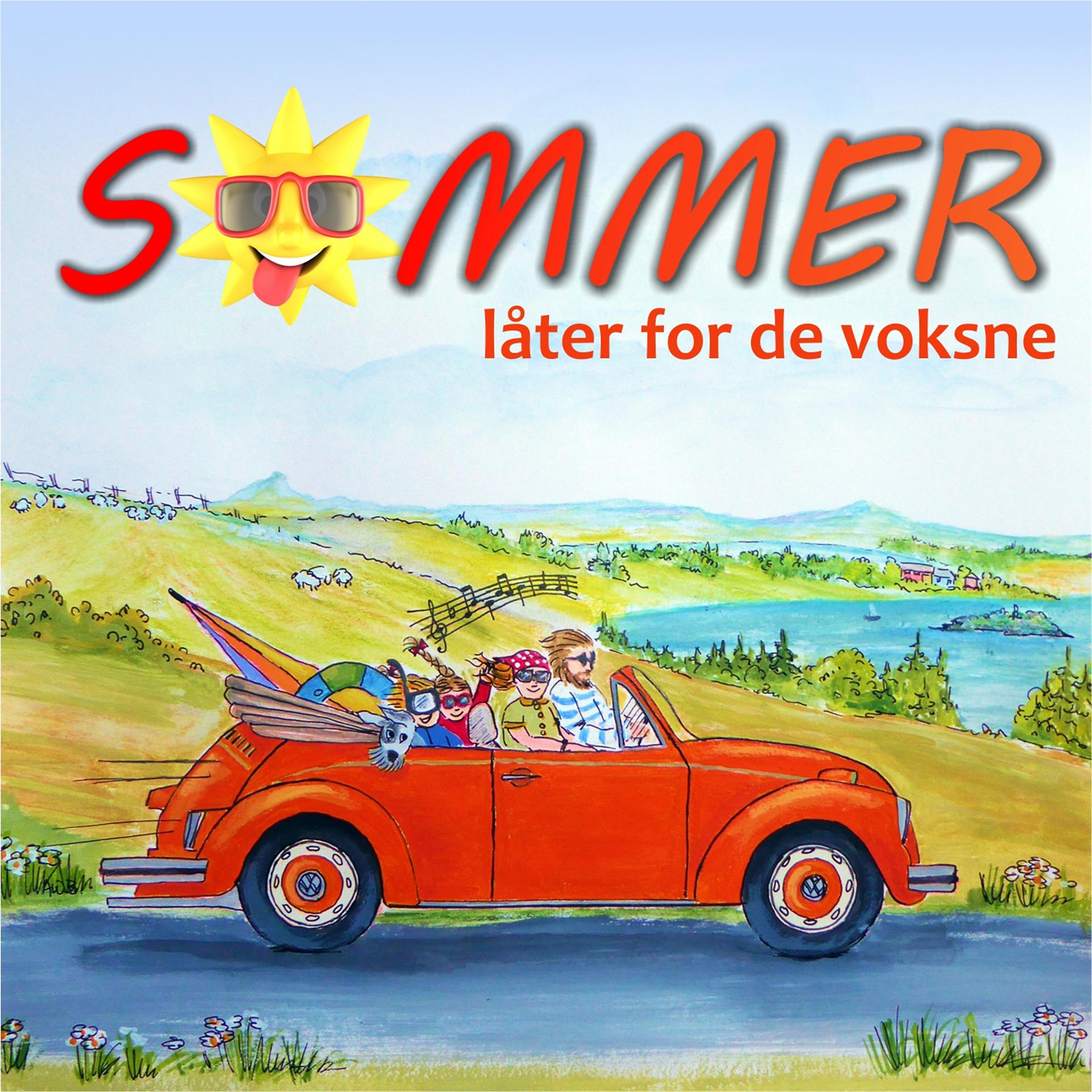 Постер альбома Sommer for store