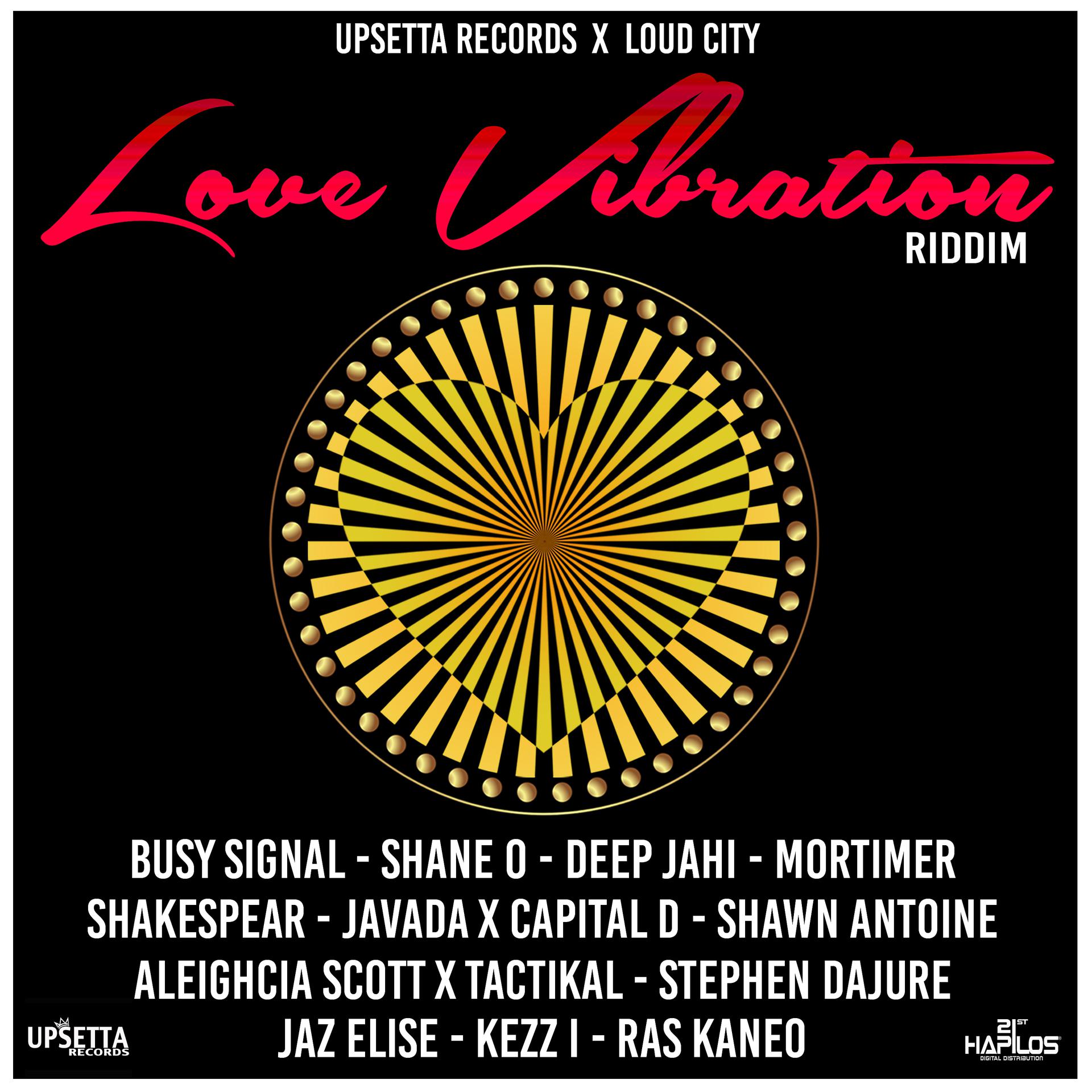 Постер альбома Love Vibration Riddim